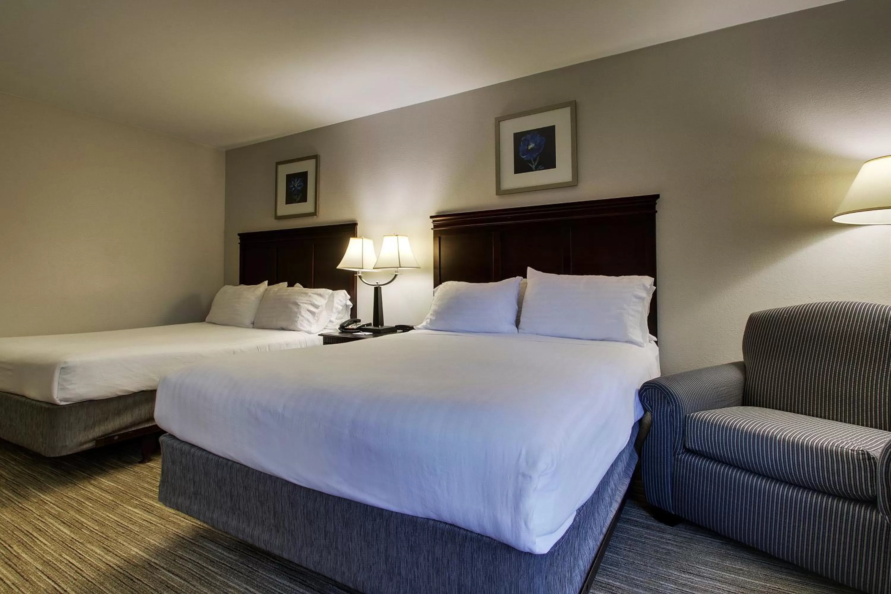 Photo of the whole room, Bed in Holiday Inn Express Hotel & Suites Middleboro Raynham by IHG