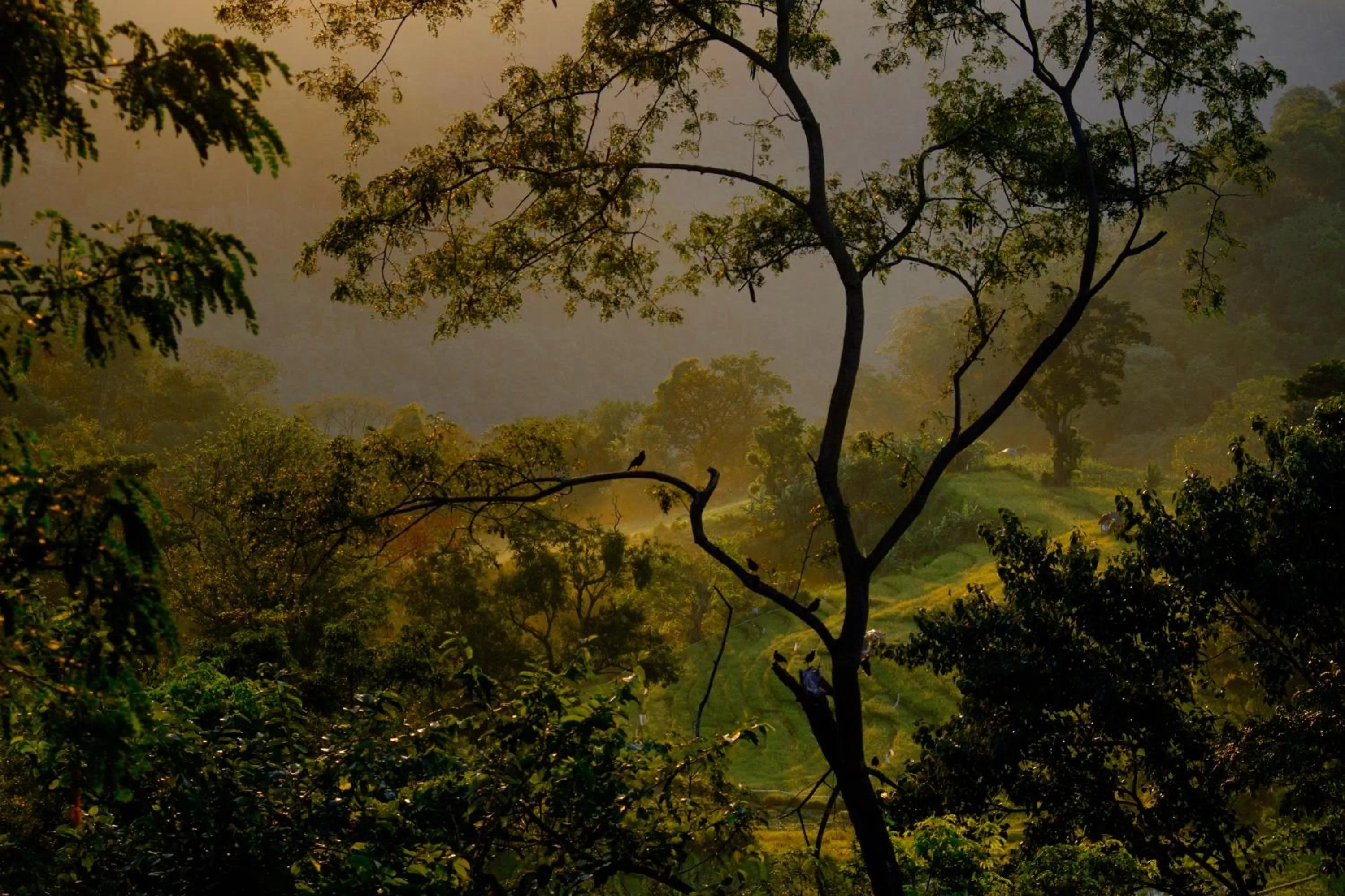 Natural landscape in Ella Planters Bungalow