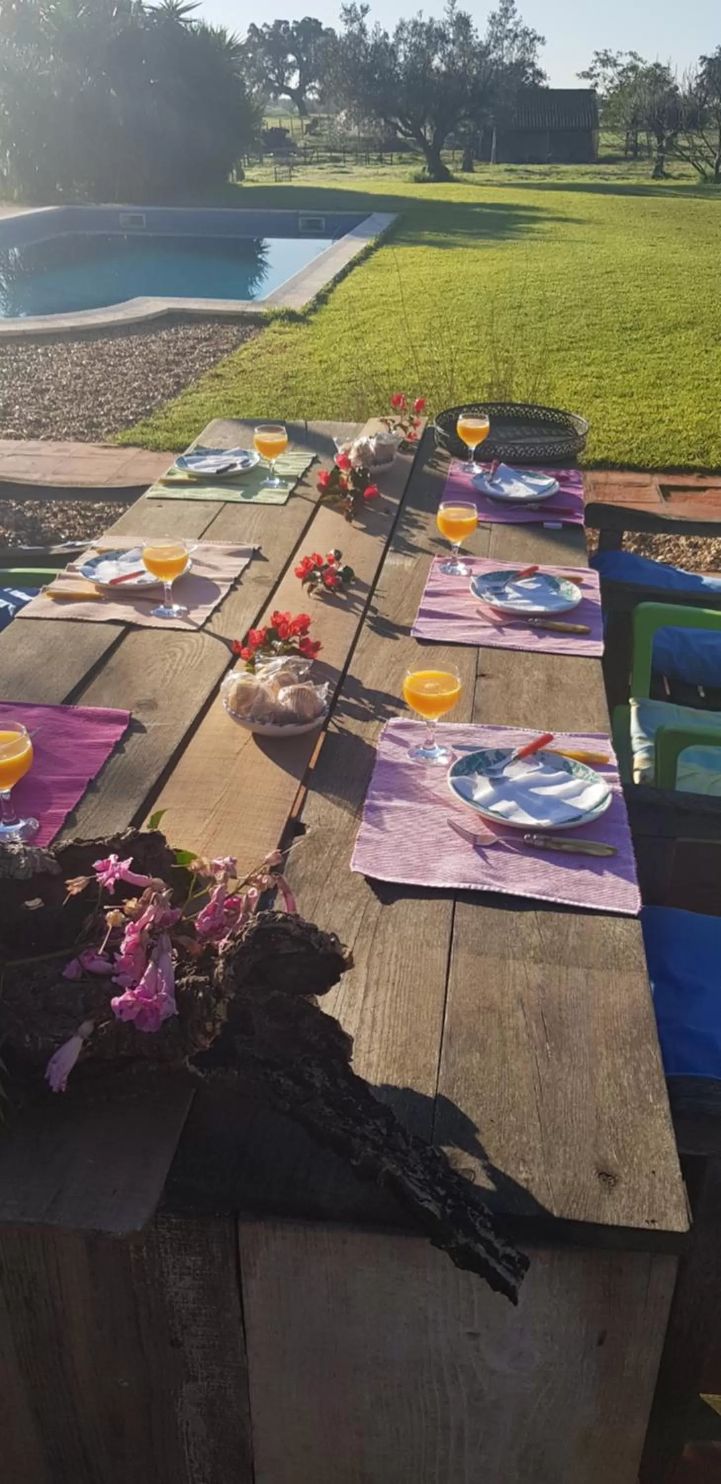 Trendy and Luxe B&B and Garden Suite