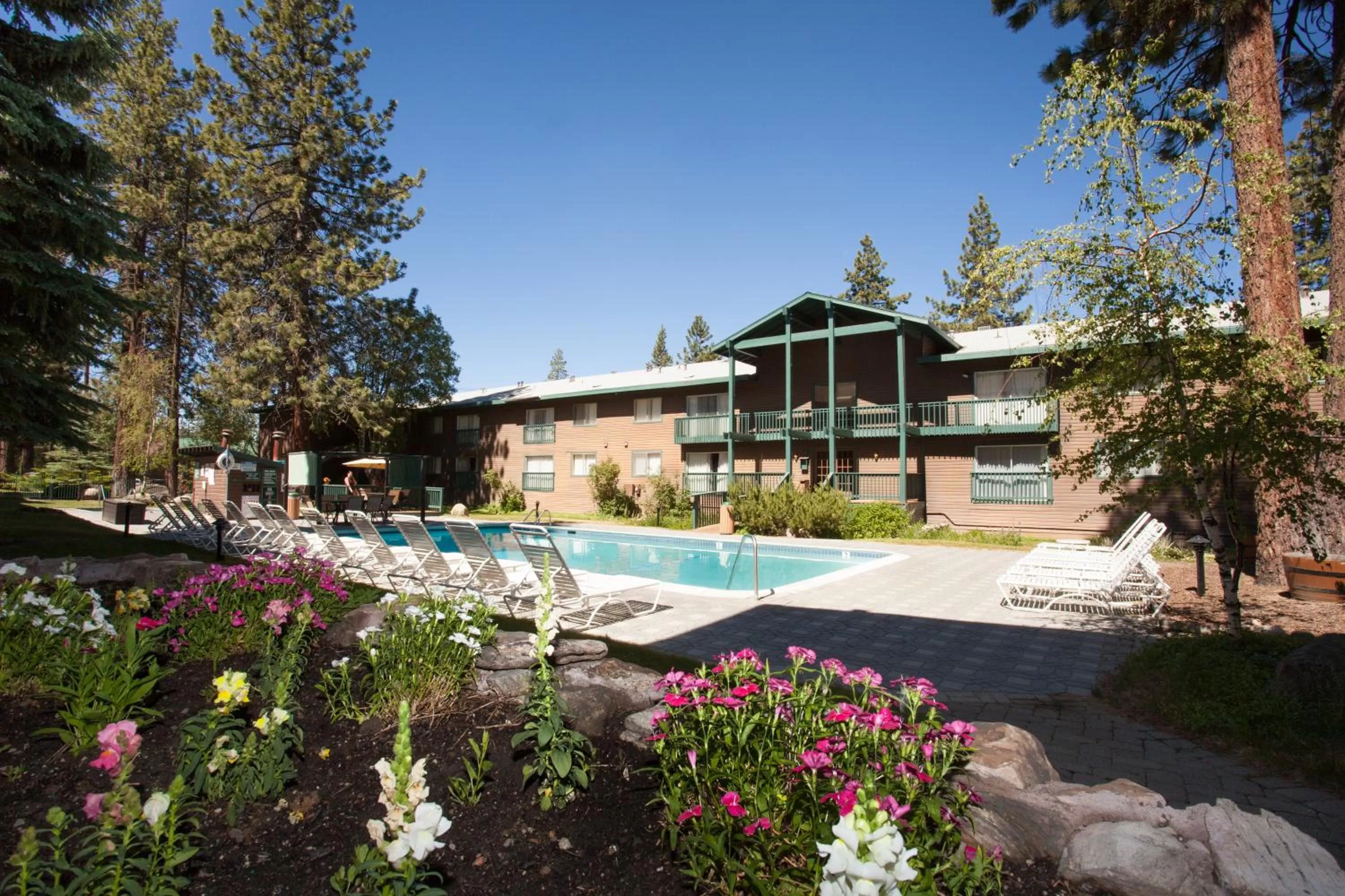 Spring in Forest Suites Resort at the Heavenly Village