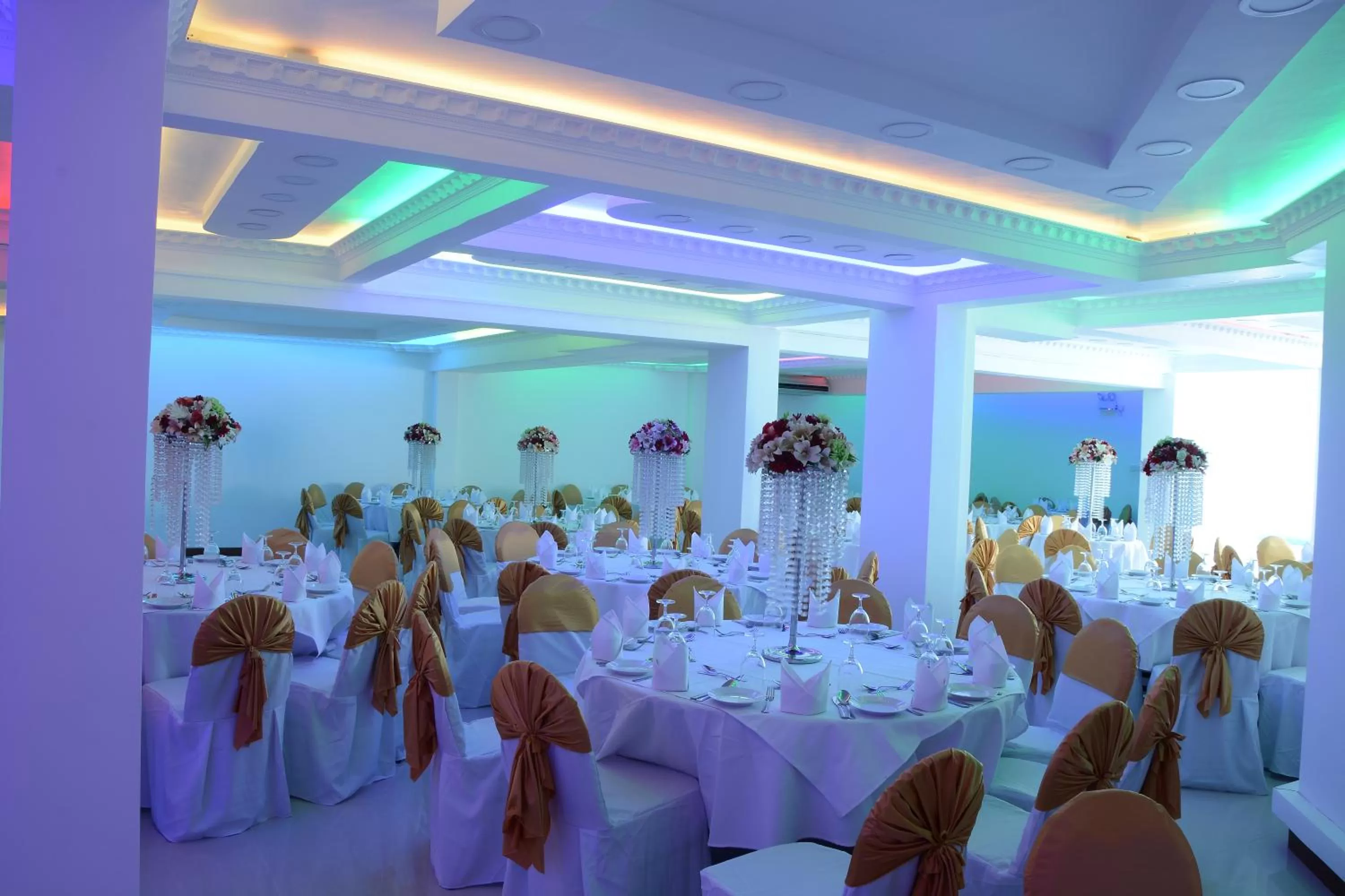 Banquet/Function facilities, Banquet Facilities in Mount Breeze Hotel