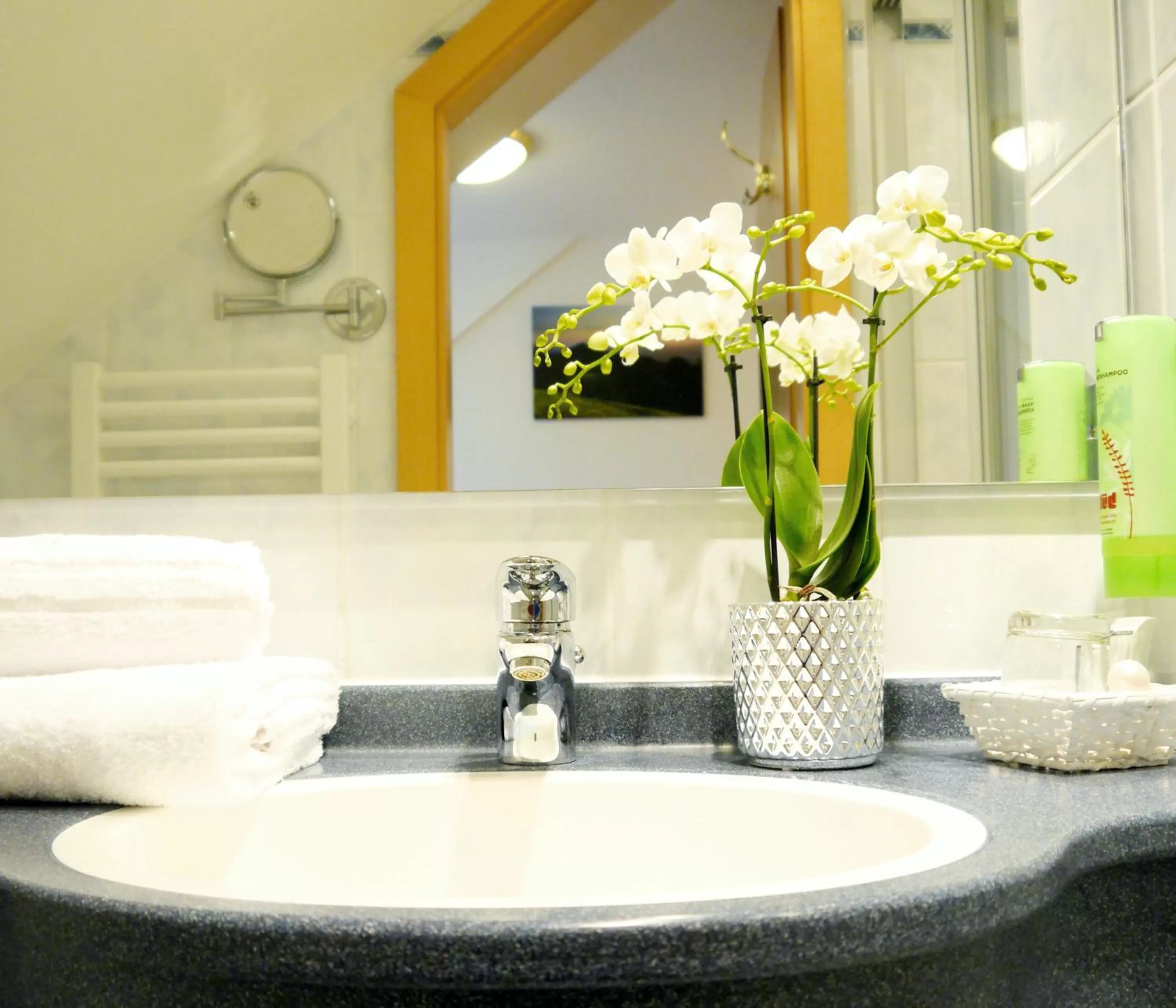 Bathroom in Berghotel Zollersteighof