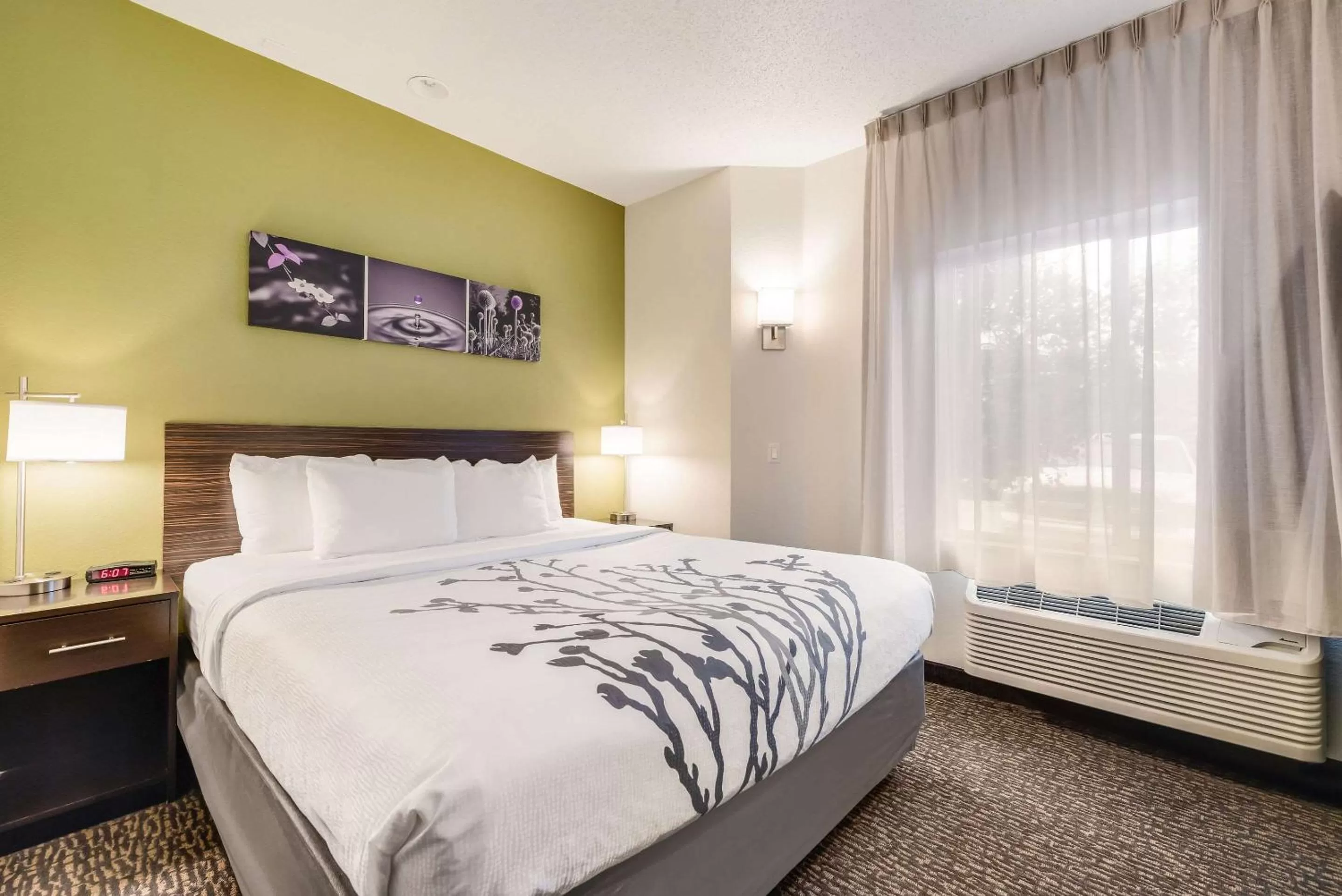 Photo of the whole room, Bed in Sleep Inn Flagstaff