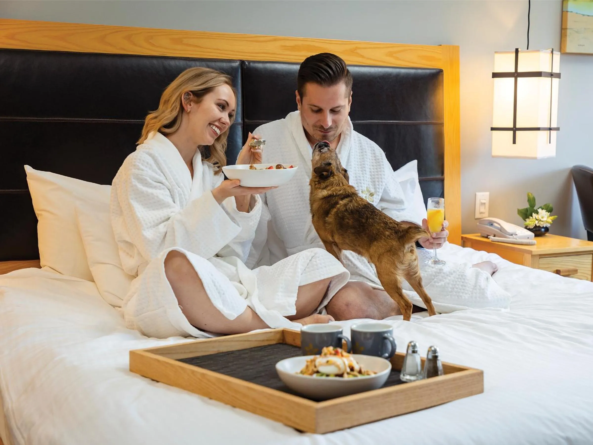Pets, Bed in Brentwood Bay Resort & Spa