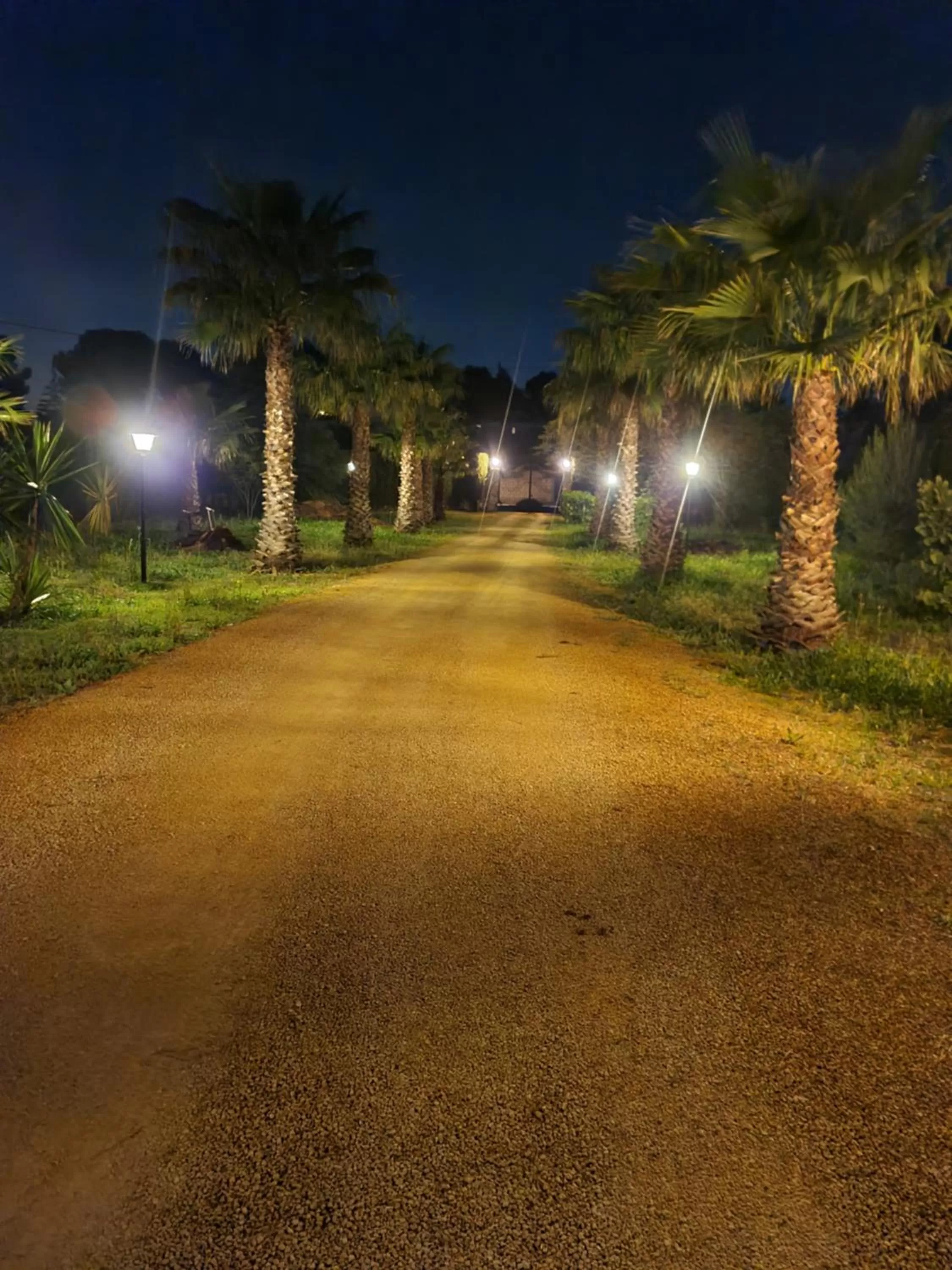 Garden in Finca la Yuca