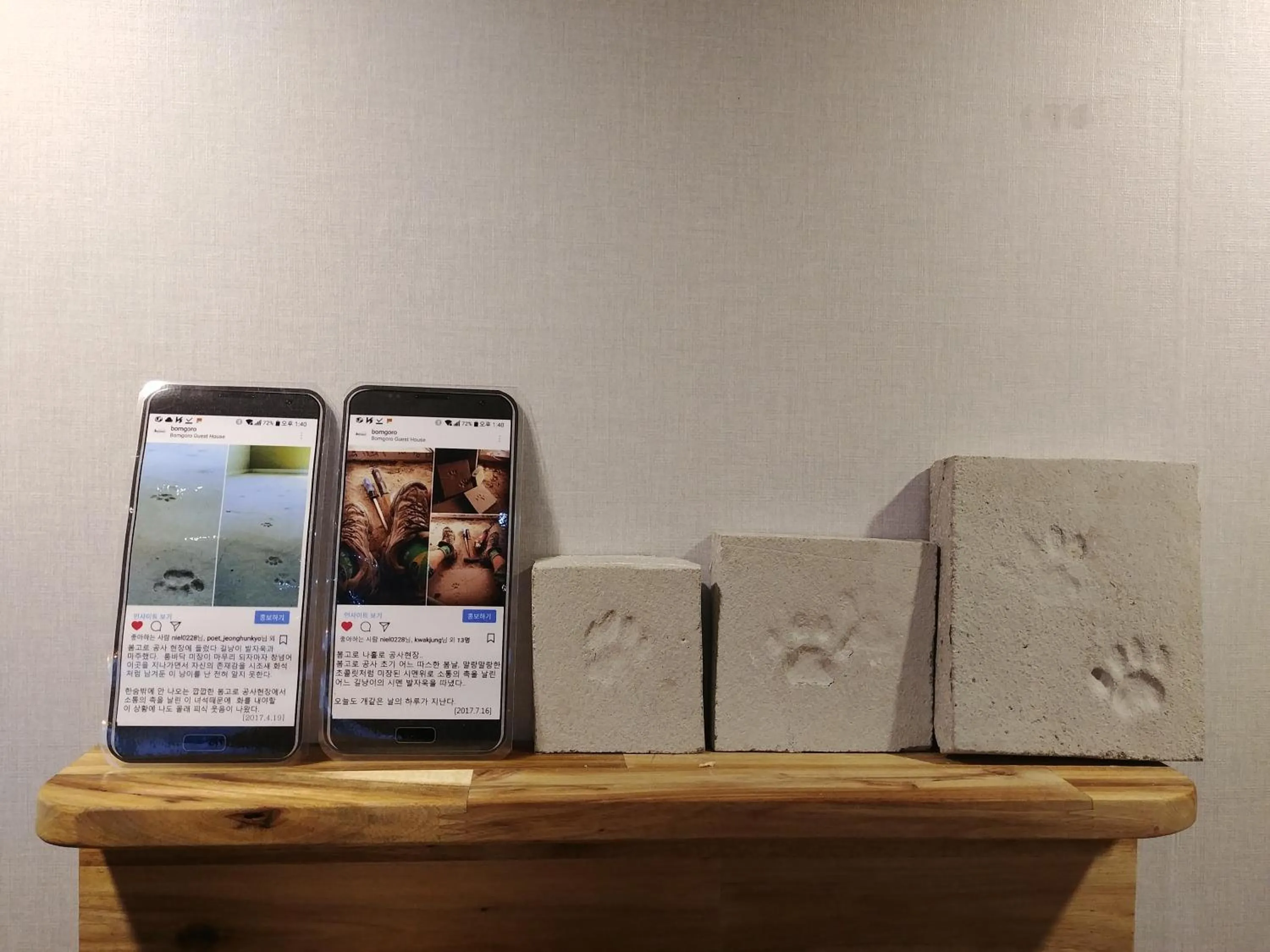 Property logo or sign in Bomgoro Guesthouse