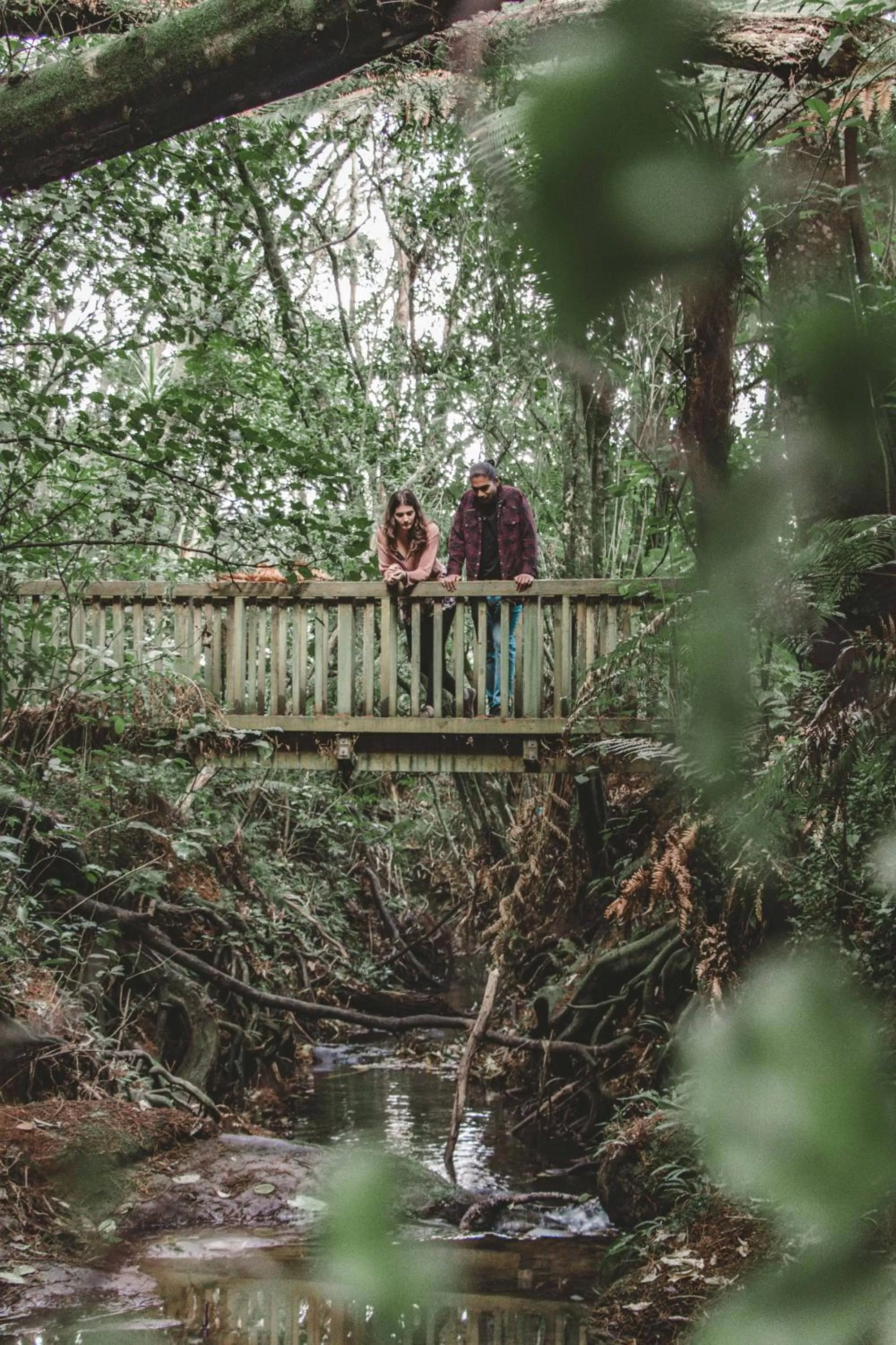 River view in Kawai Purapura Yoga Retreat Centre