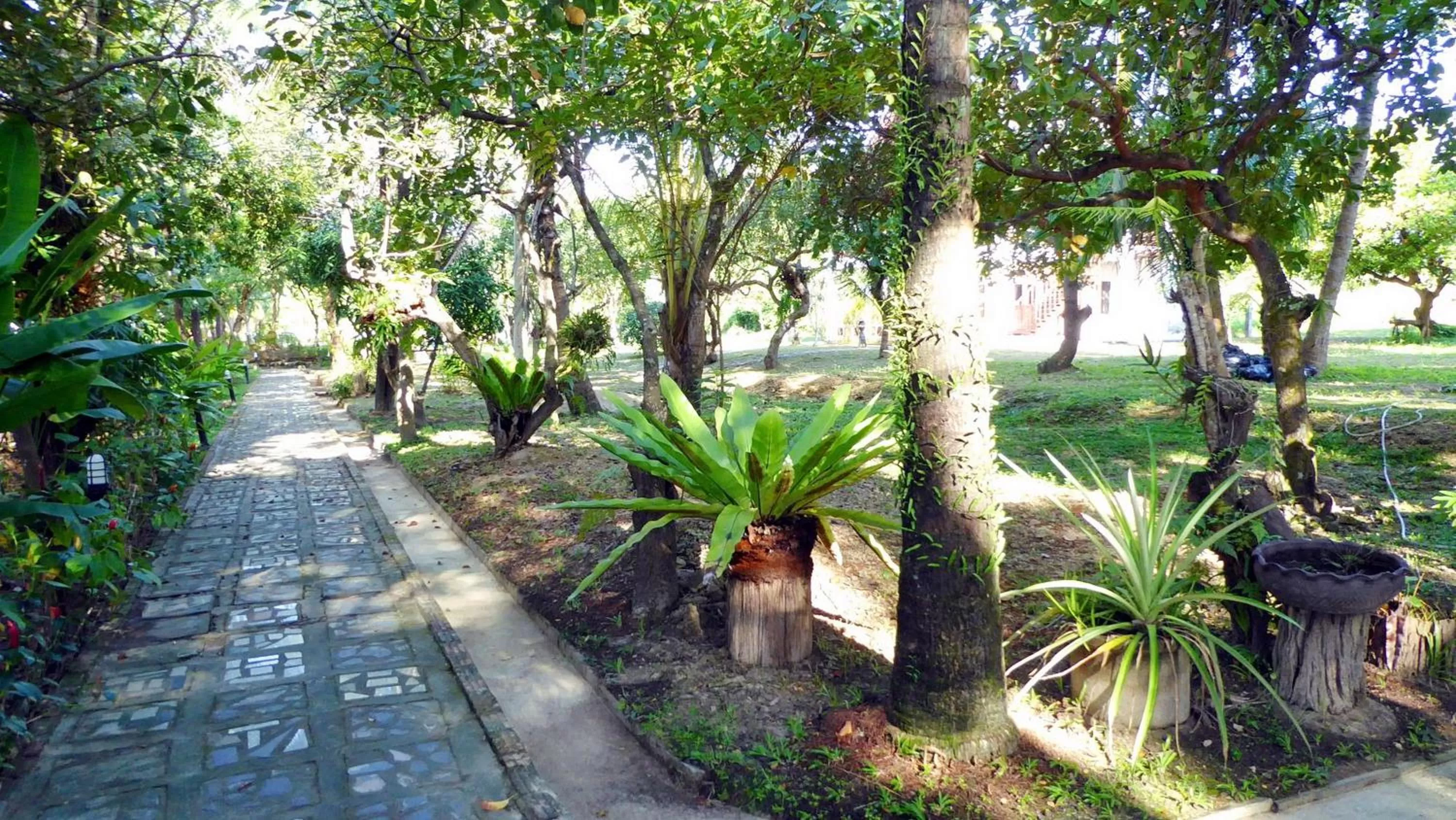 Garden in Doo Dee Boutique Resort by Swiss Chalet