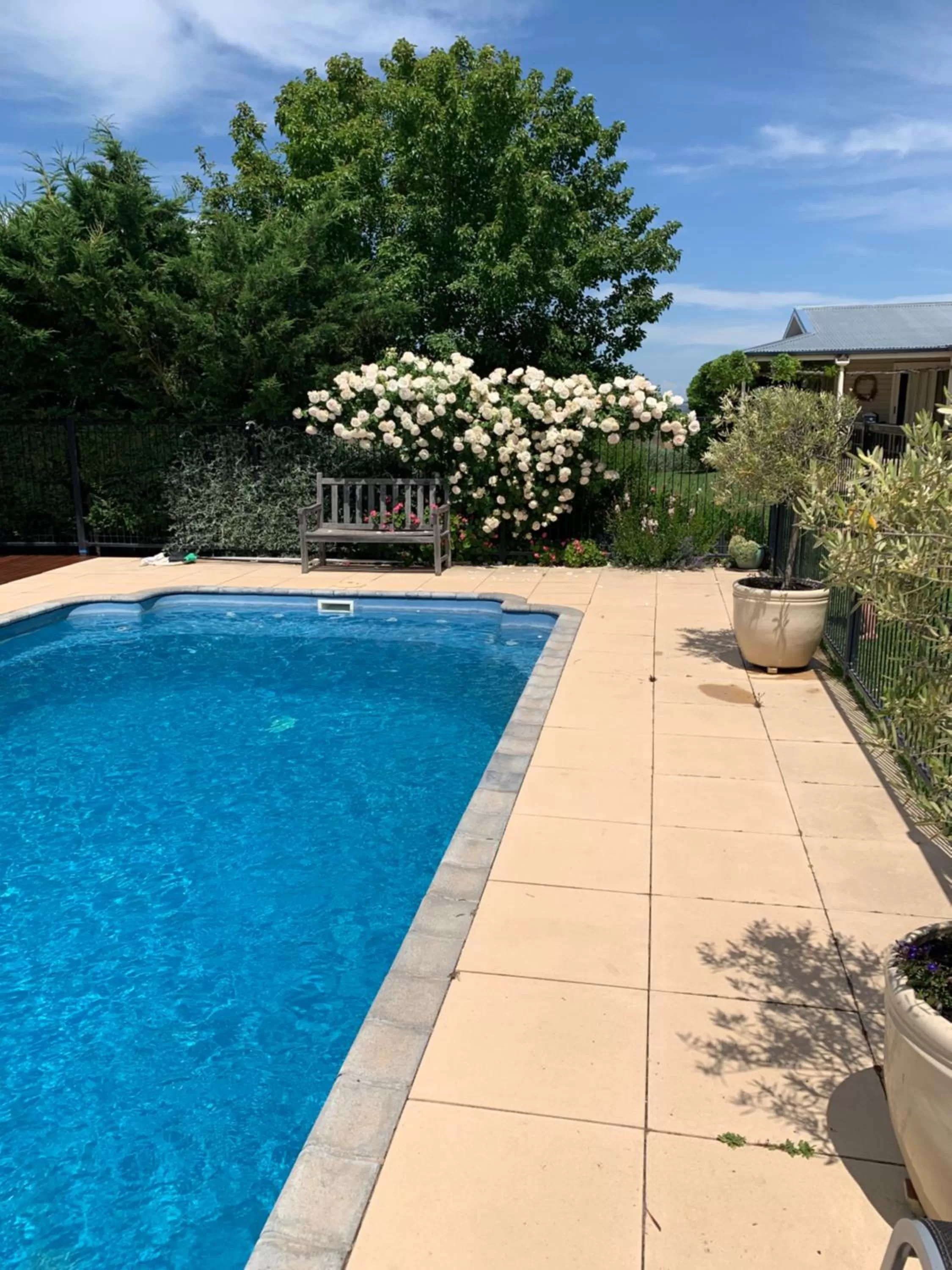 Swimming Pool in Amazing Views Pet Friendly Bed and Breakfast