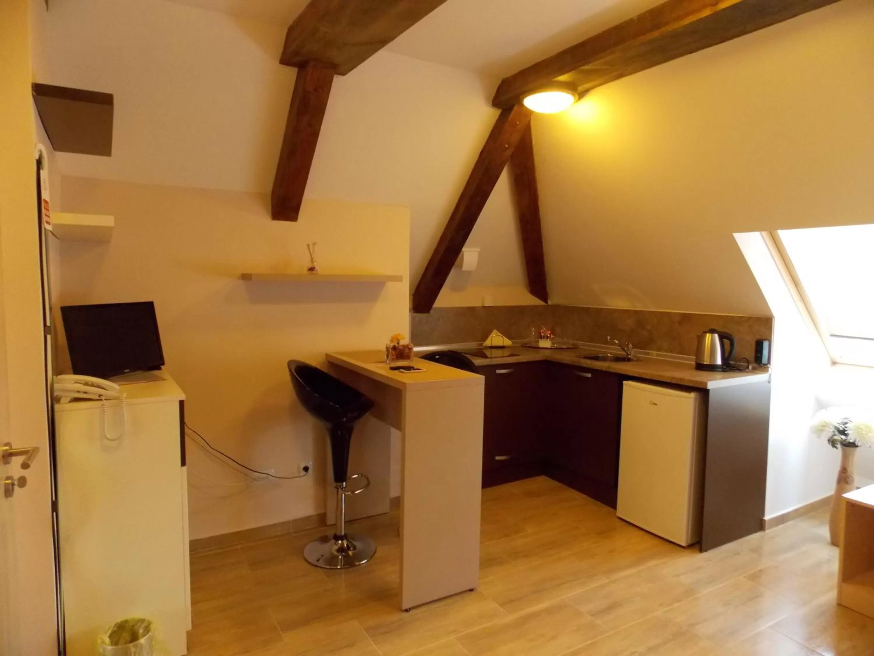 Coffee/tea facilities, Kitchen/Kitchenette in Apart Hotel Rosen