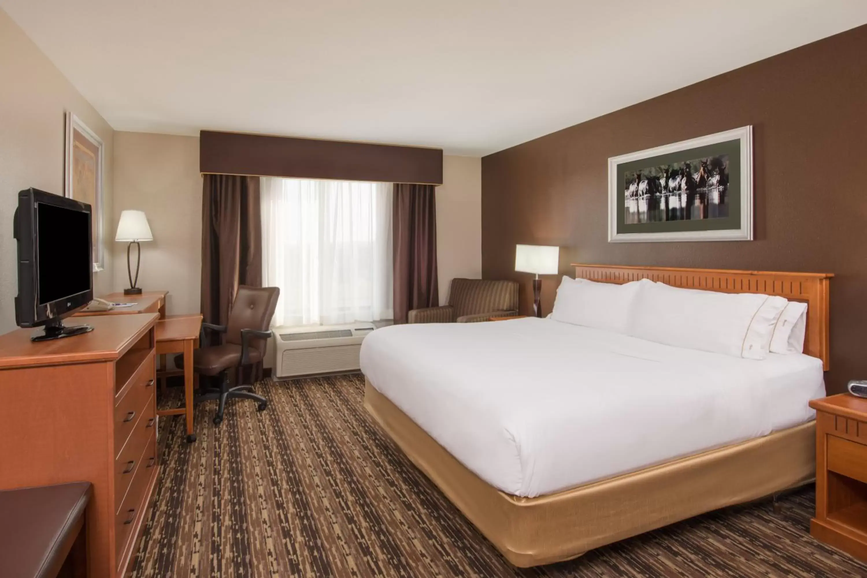 King Room - Mobility Access/Hearing Accessible in Holiday Inn Express & Suites Douglas, an IHG Hotel King Room - Mobility Access/Hearing Accessible in Holiday Inn Express & Suites Douglas, an IHG Hotel