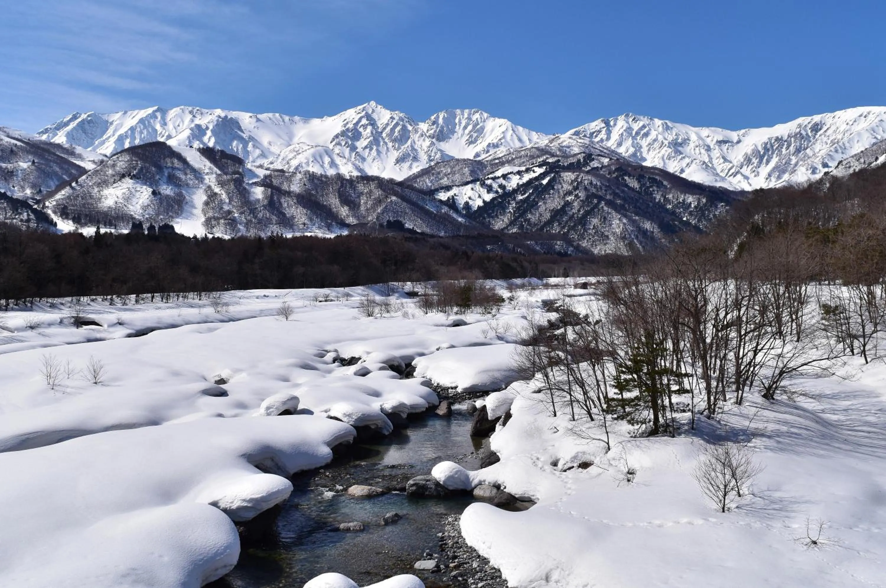 Natural landscape in Hotel La Neige