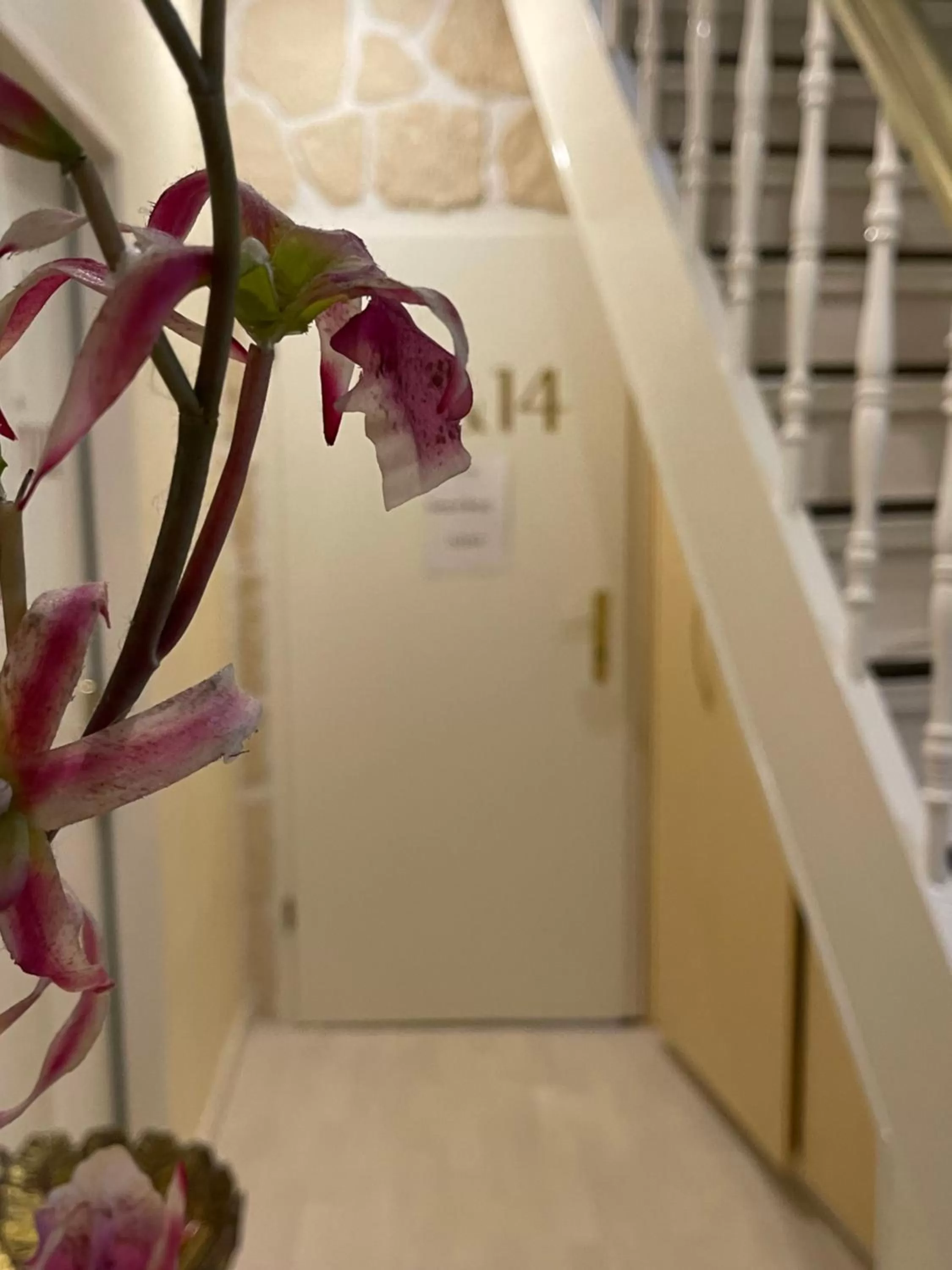 Hotel Villa Vital Munster