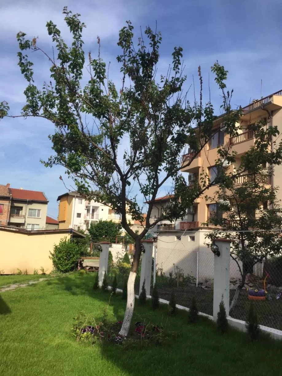 Property Building in Family Hotel Malibu