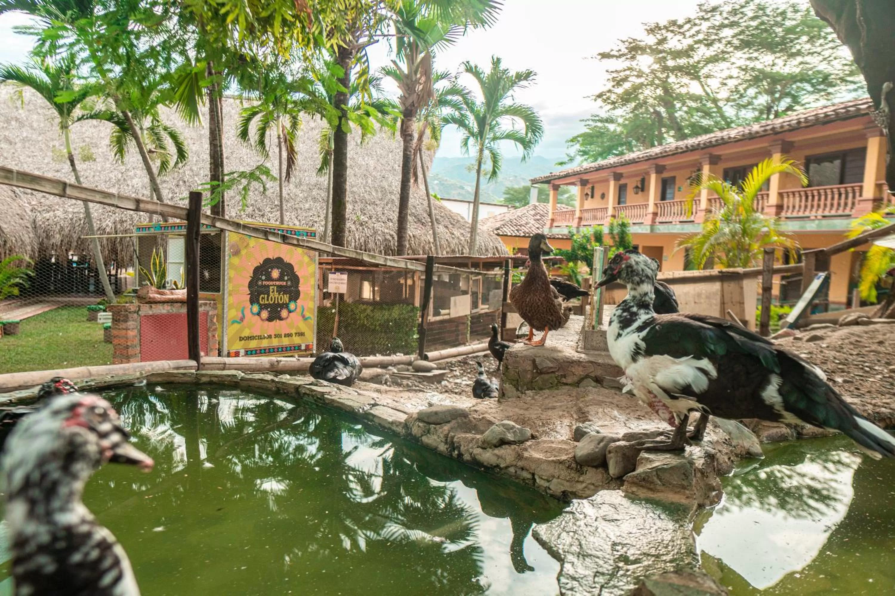 Animals, Other Animals in Hotel Portón del Sol