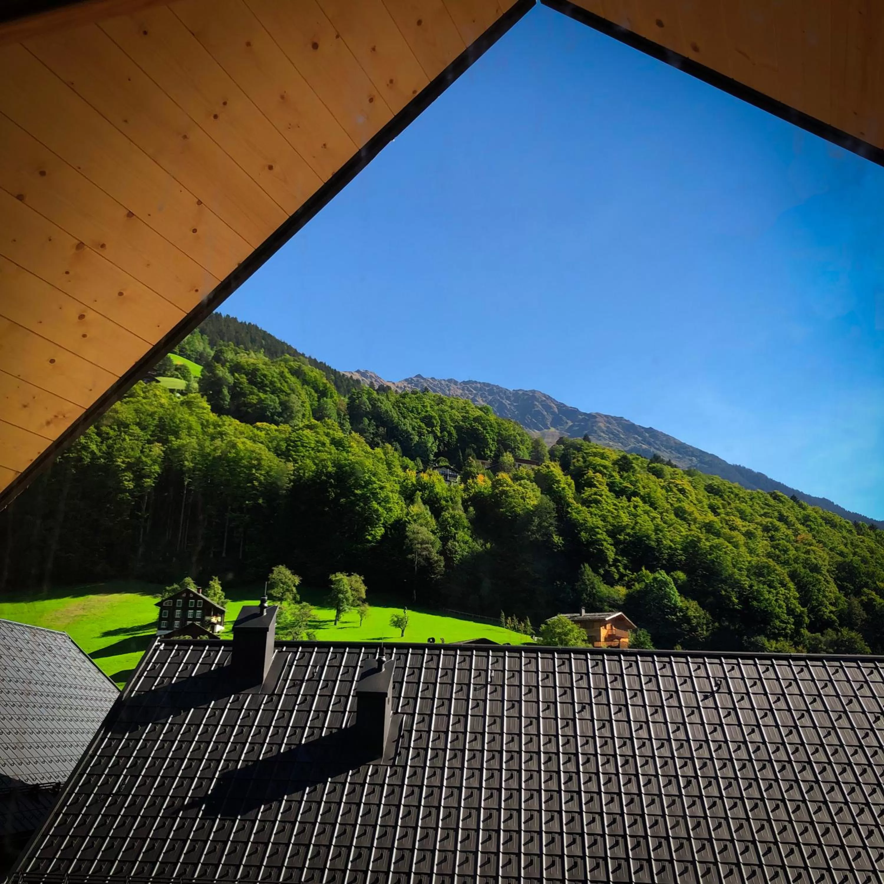 View (from property/room), Mountain View in PURE Resort Schruns