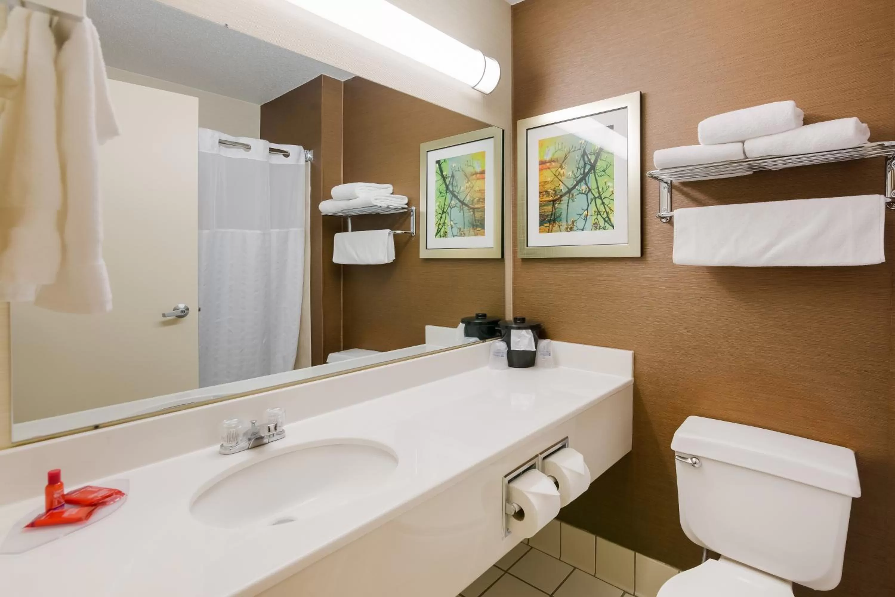 Bathroom in AmericInn by Wyndham Minot