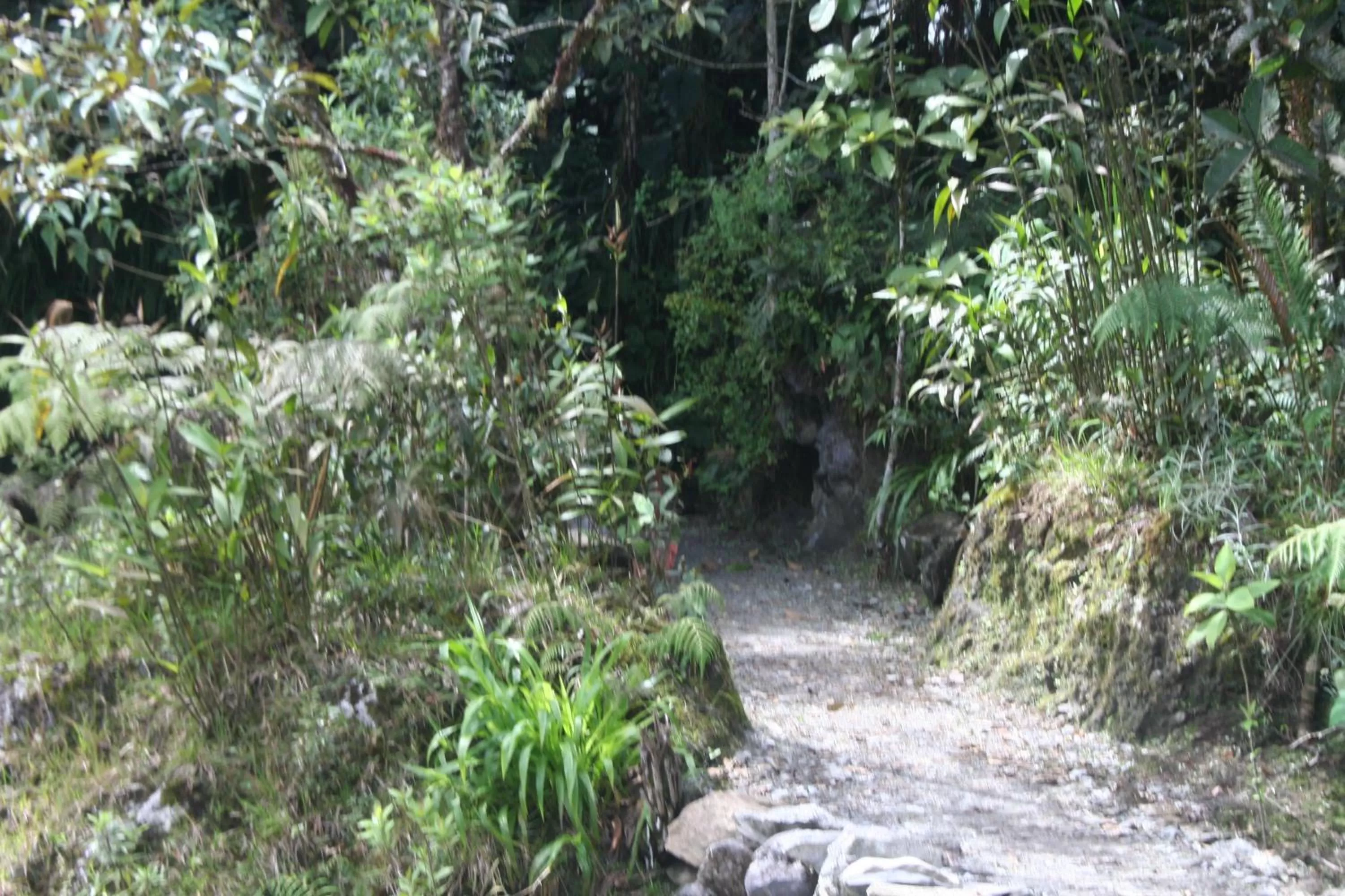 Garden, Natural Landscape in Spa Hosteria Miramelindo