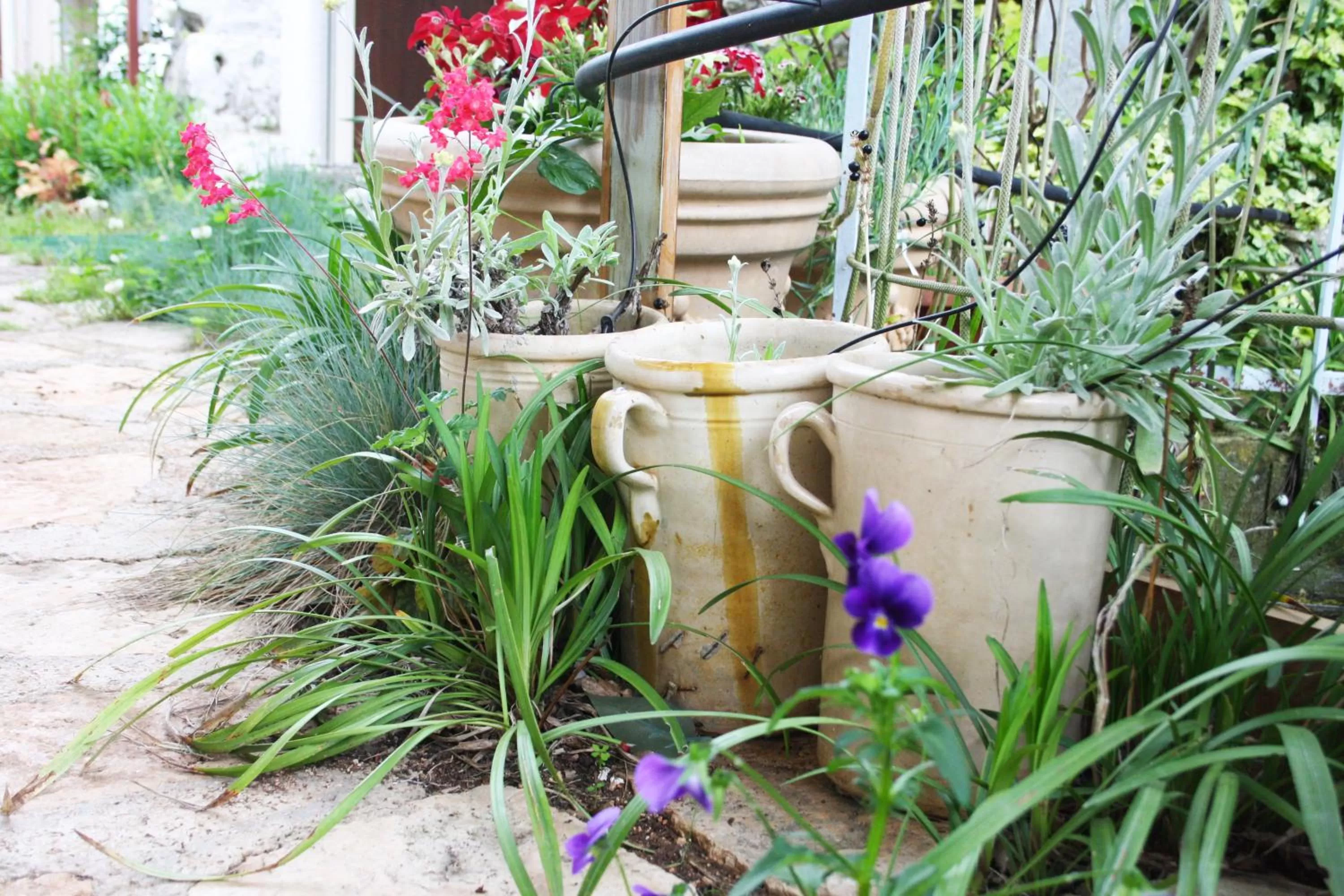 On site in Mini suite alla Cascata