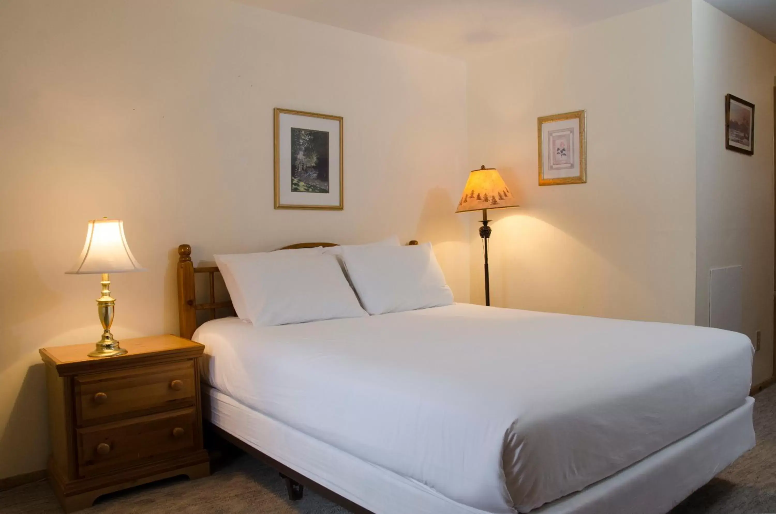 Standard Queen Room in Summit Lodge Standard Queen Room in Summit Lodge