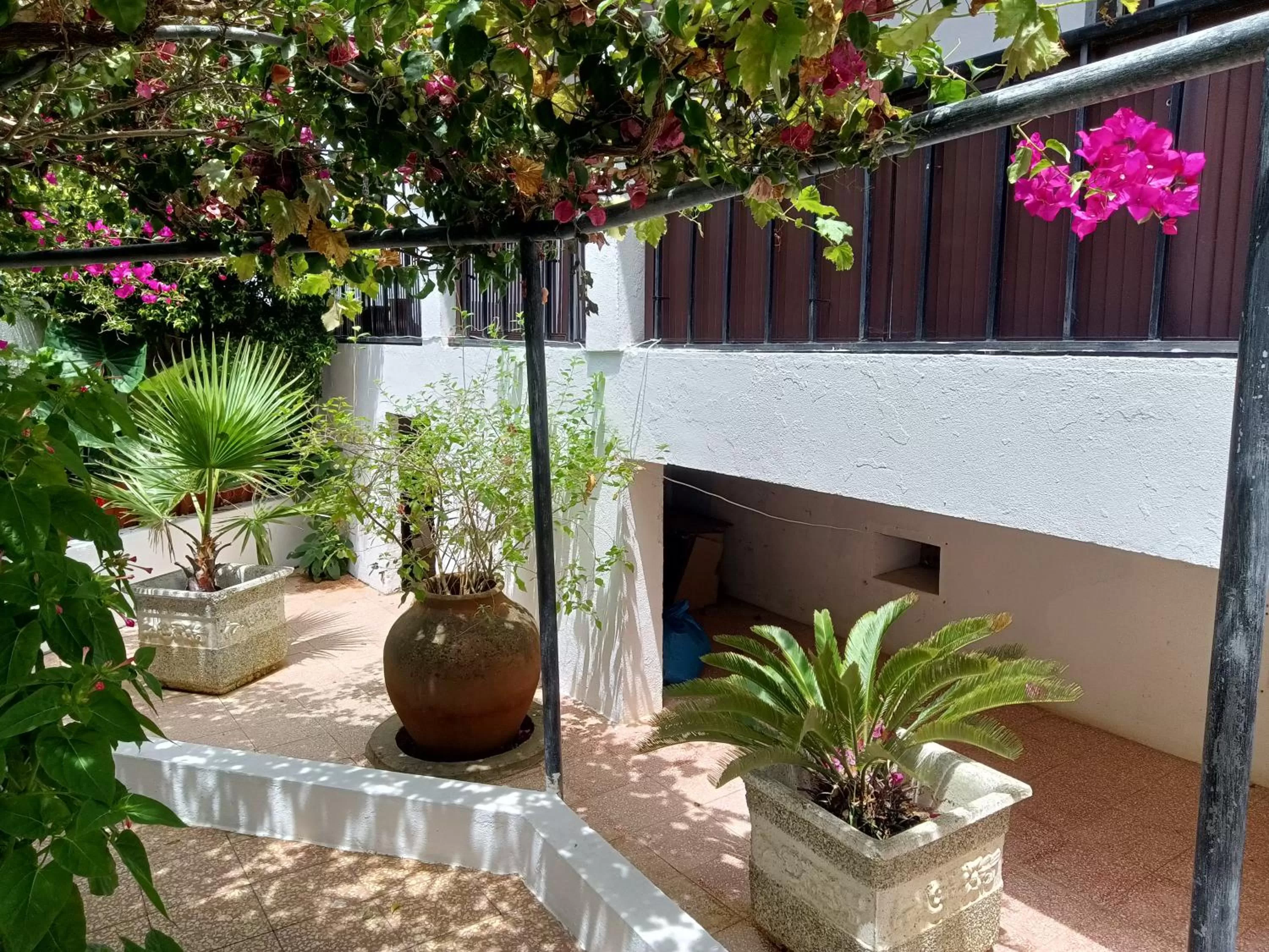 Alojamento Local Largo da Igreja