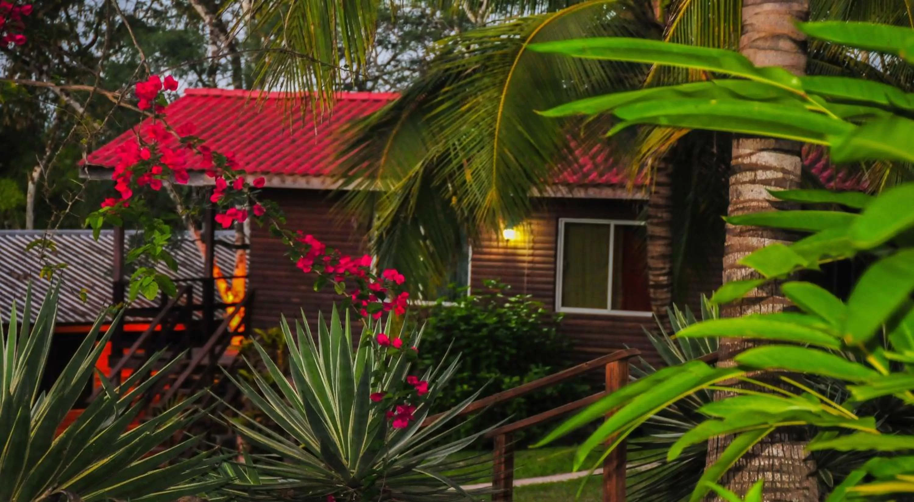 Night in The Log Cab-Inn