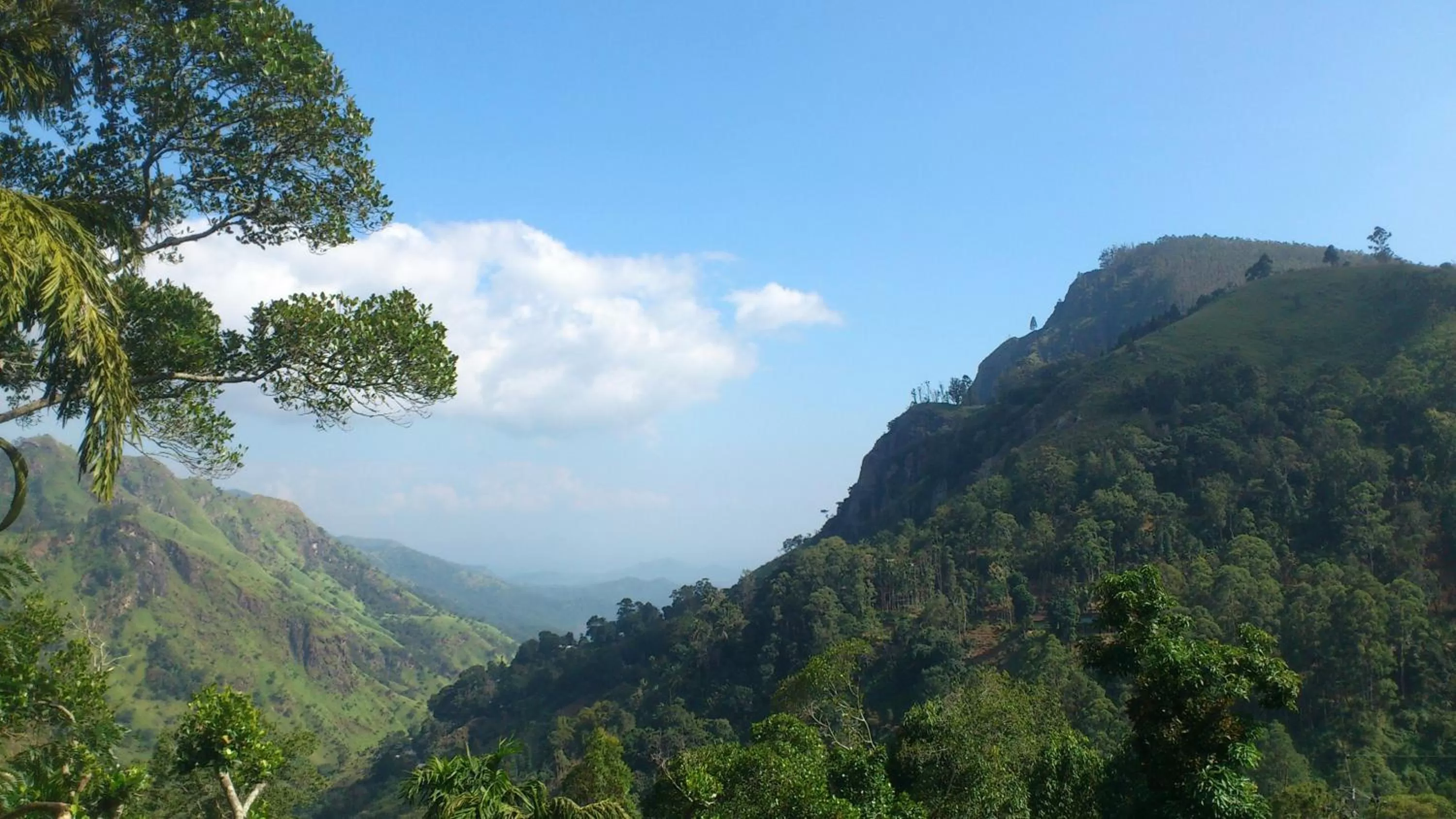 View (from property/room), Natural Landscape in Blue Ribbon Homestay