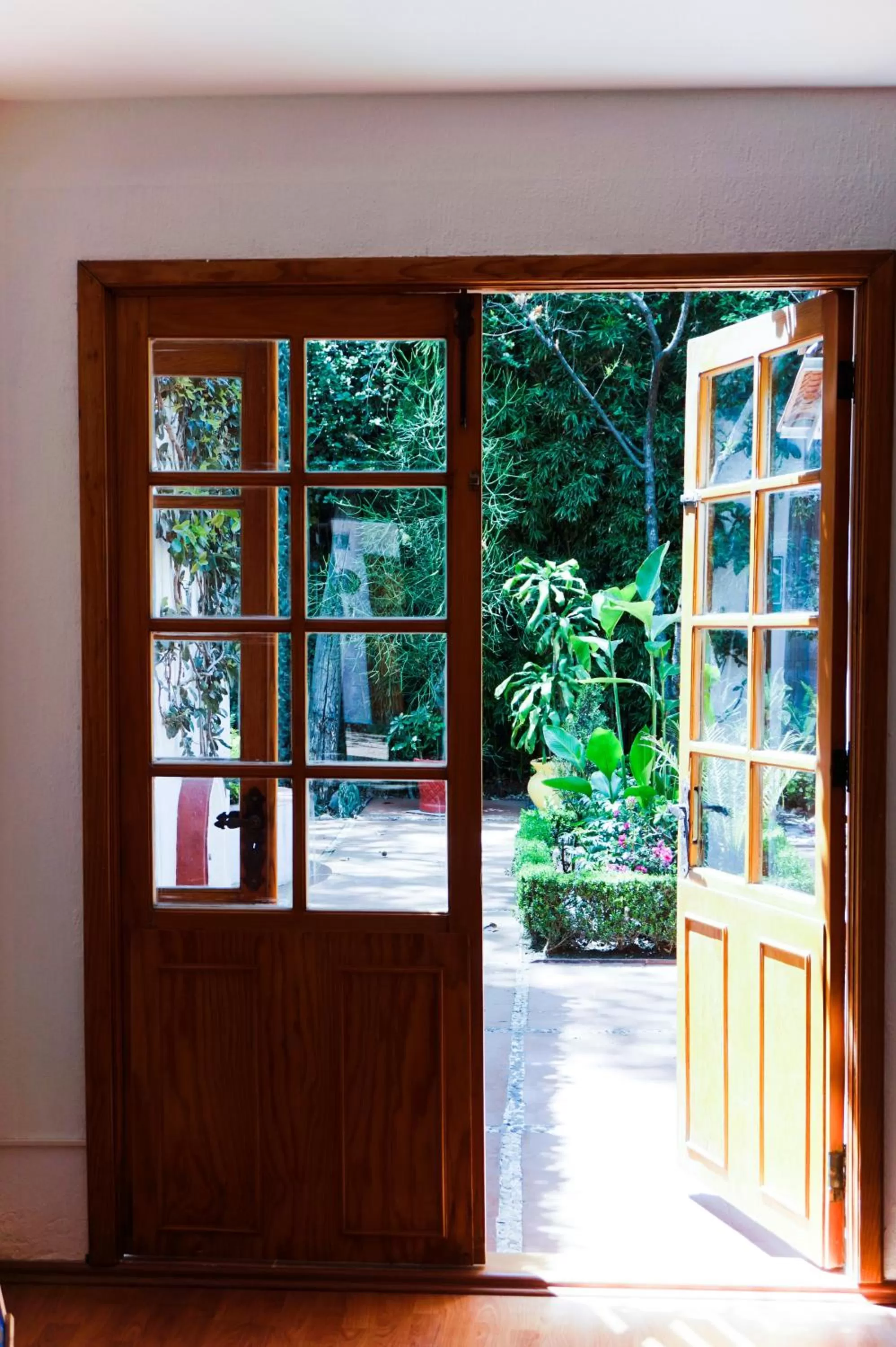 Garden in Casa Jacinta Guest House