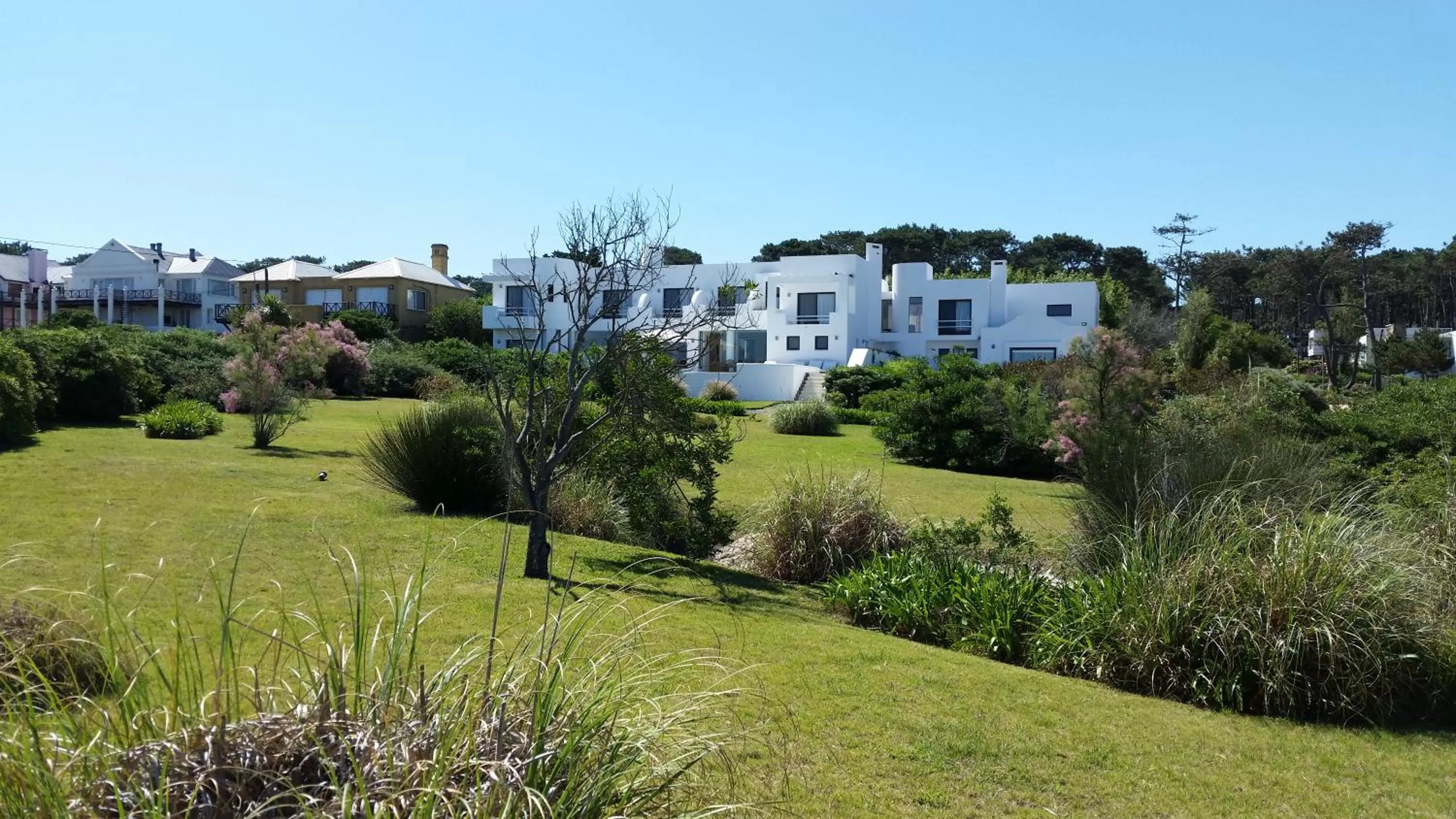 Garden in Posada de los Pajaros