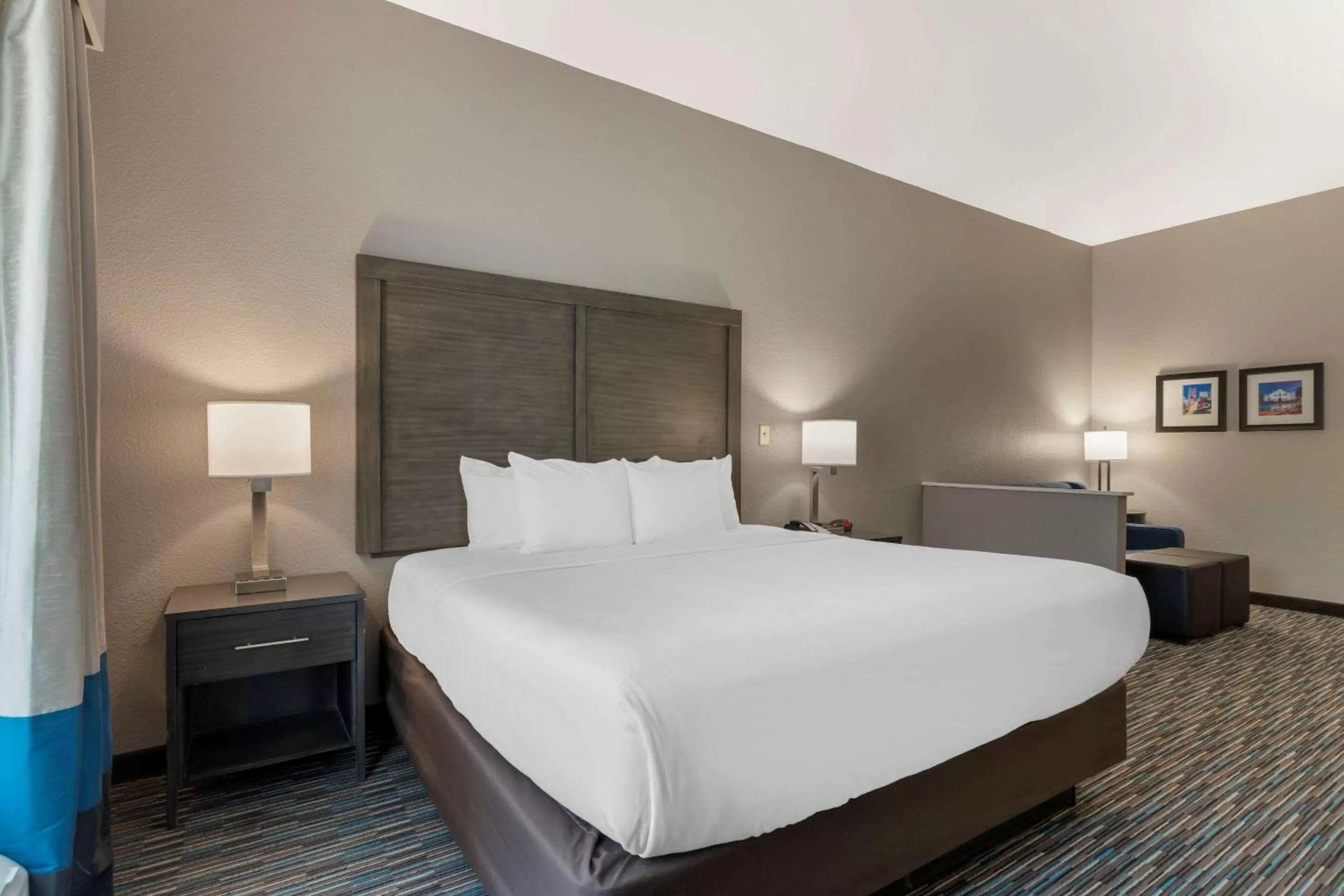 Bedroom, Bed in Comfort Inn & Suites Near Medical Center