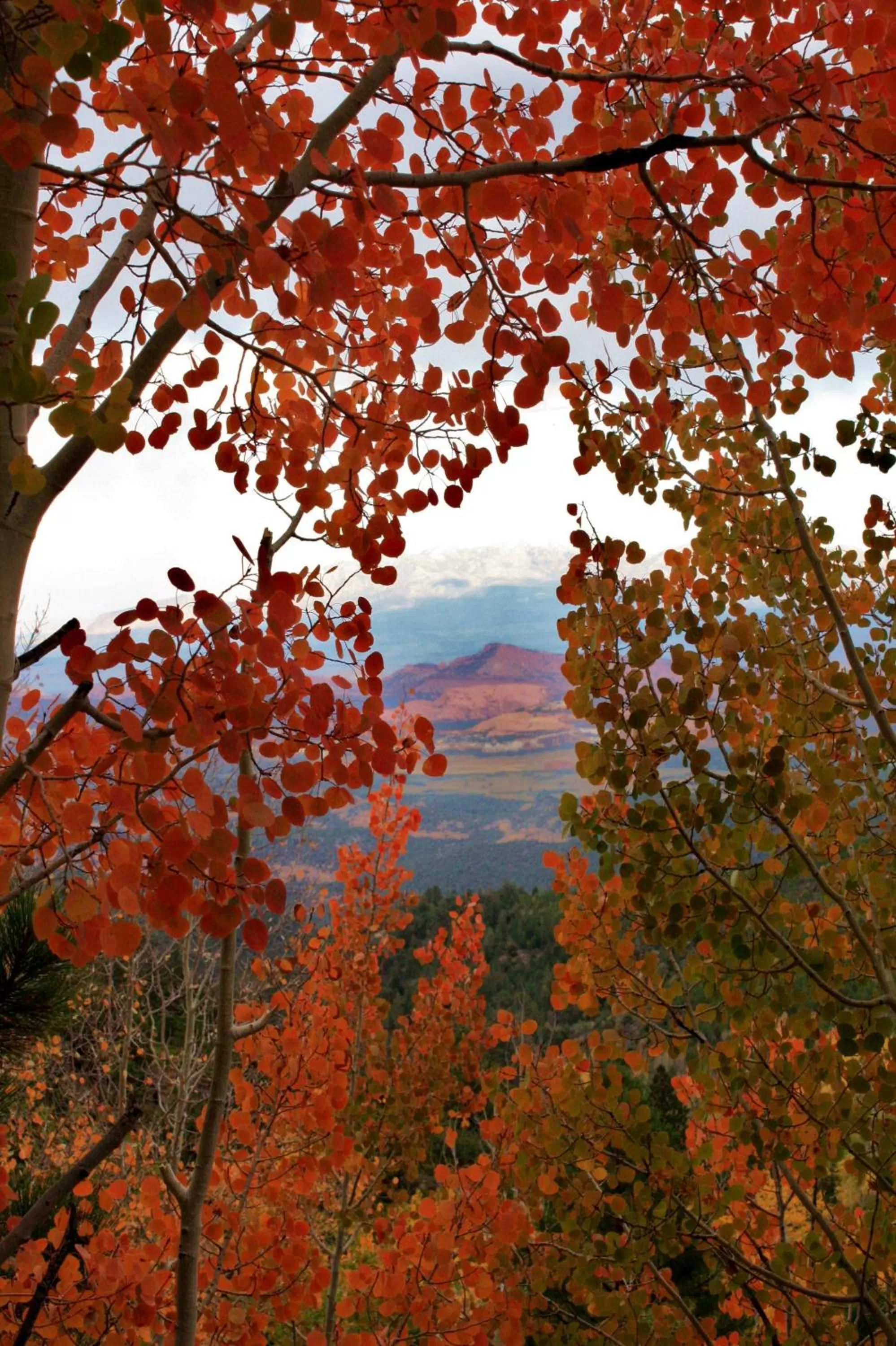 Natural landscape in The Noor Hotel