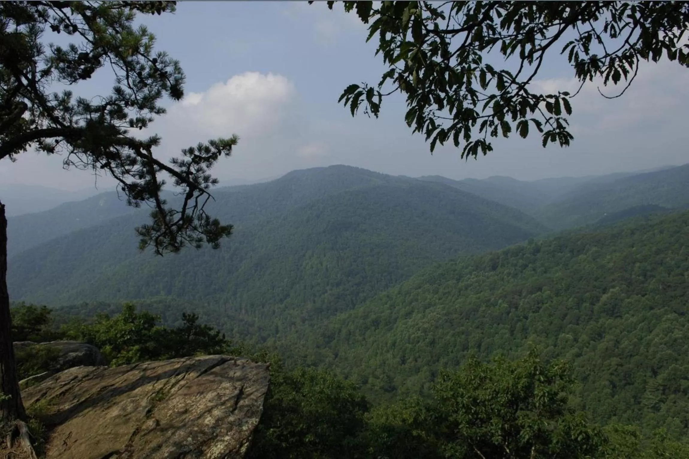 Natural landscape in Black Forest Bed & Breakfast