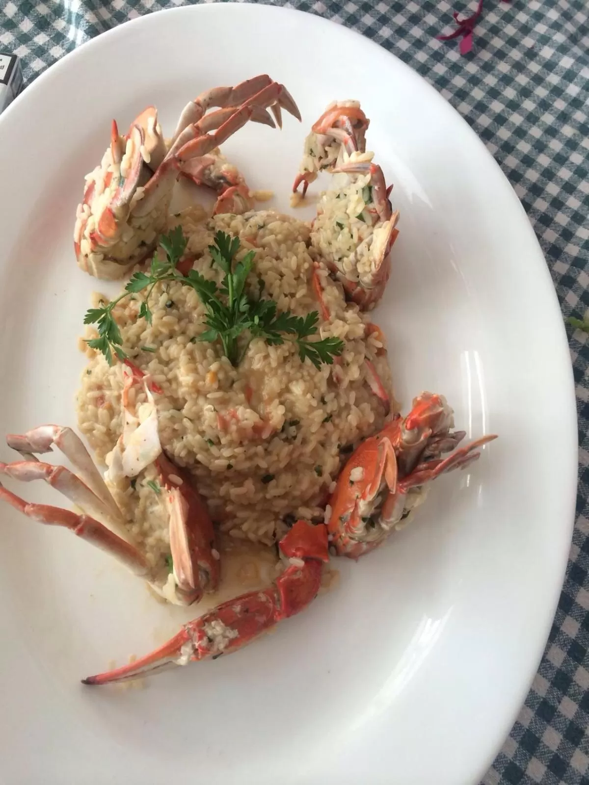 Restaurant/places to eat, Food in Hotel Lido