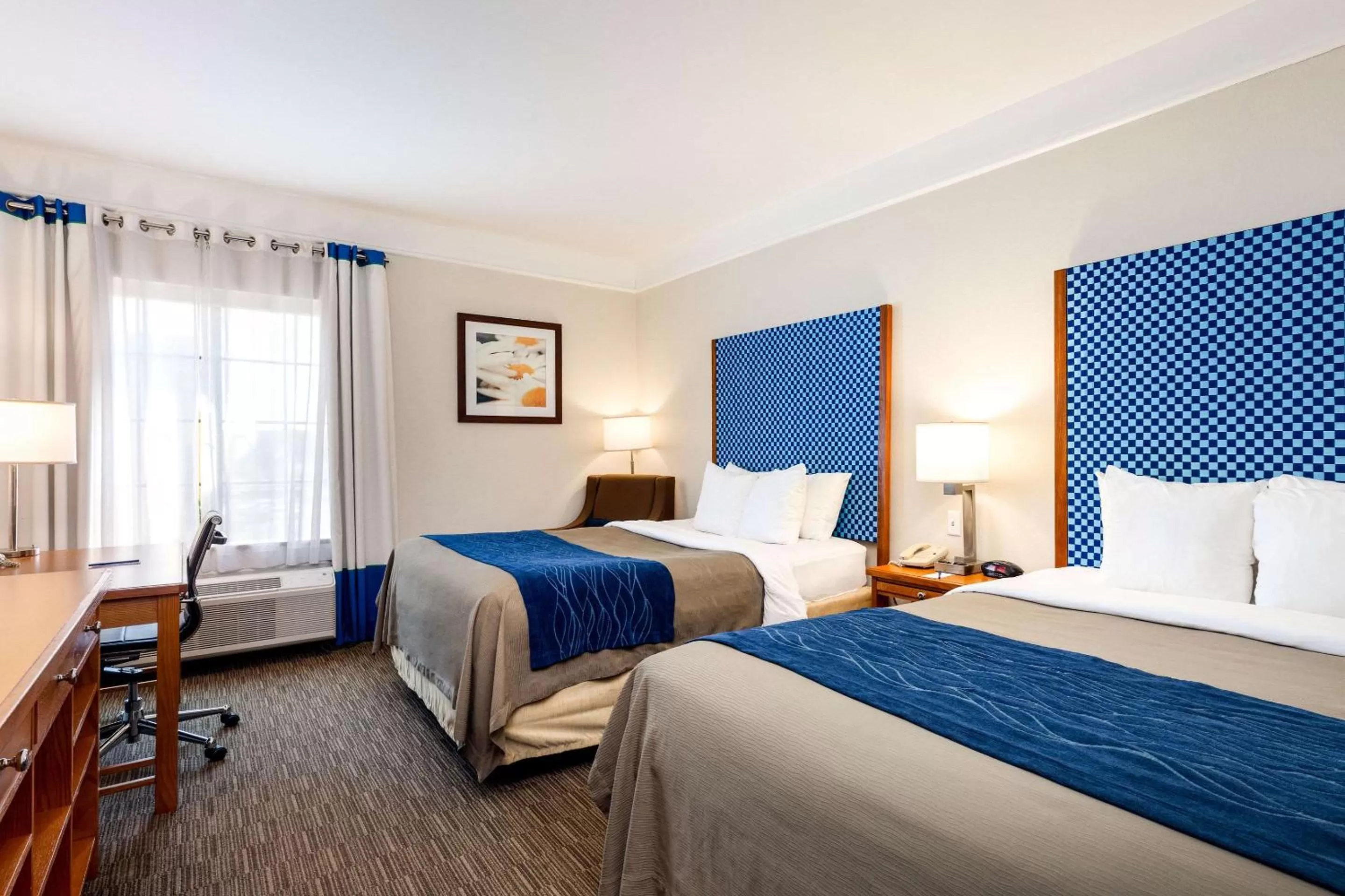 Queen Room with Two Queen Beds - Accessible/Non-Smoking  in Comfort Inn & Suites Savannah Airport