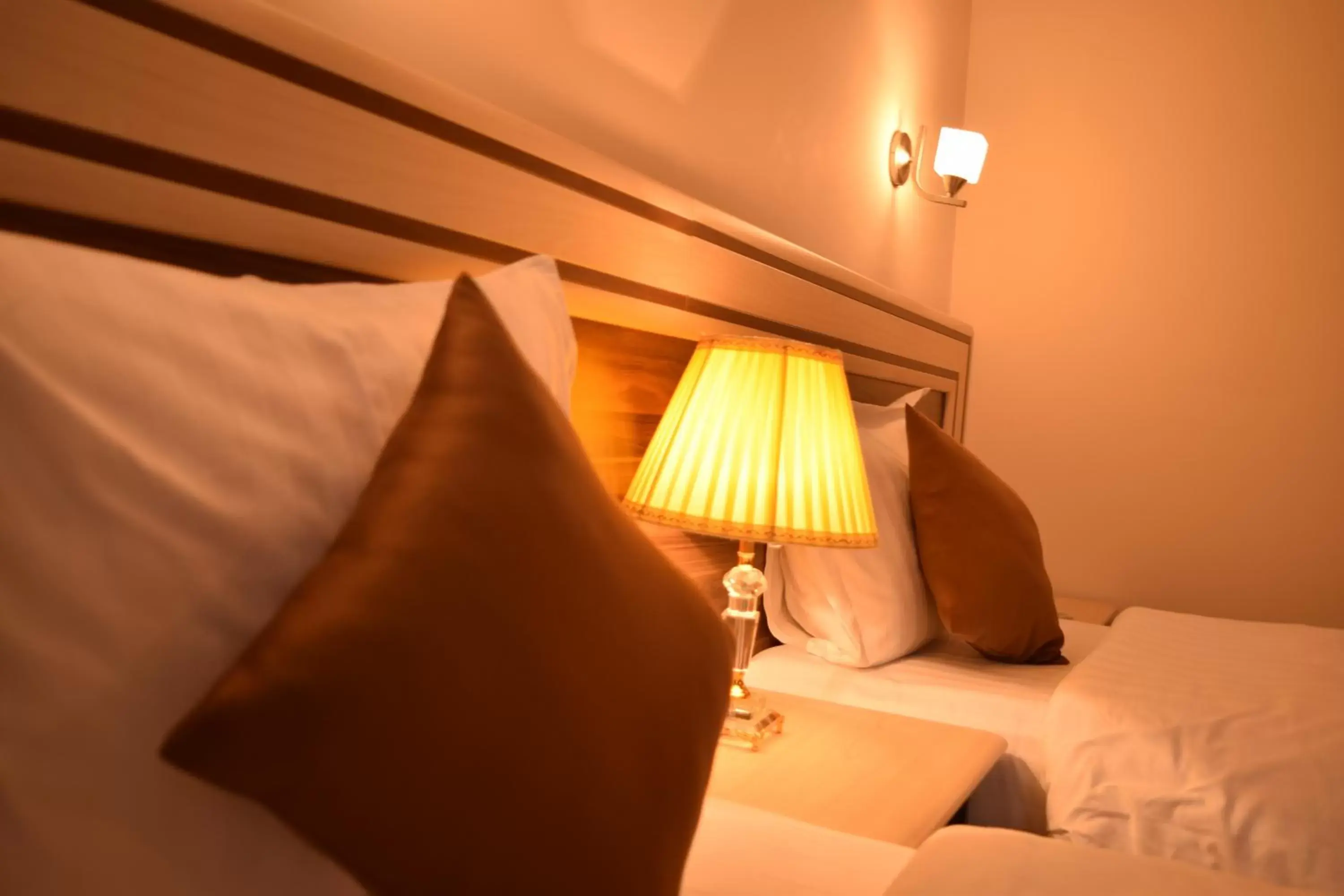 Standard Twin Room in Artsakh Hotel Standard Twin Room in Artsakh Hotel