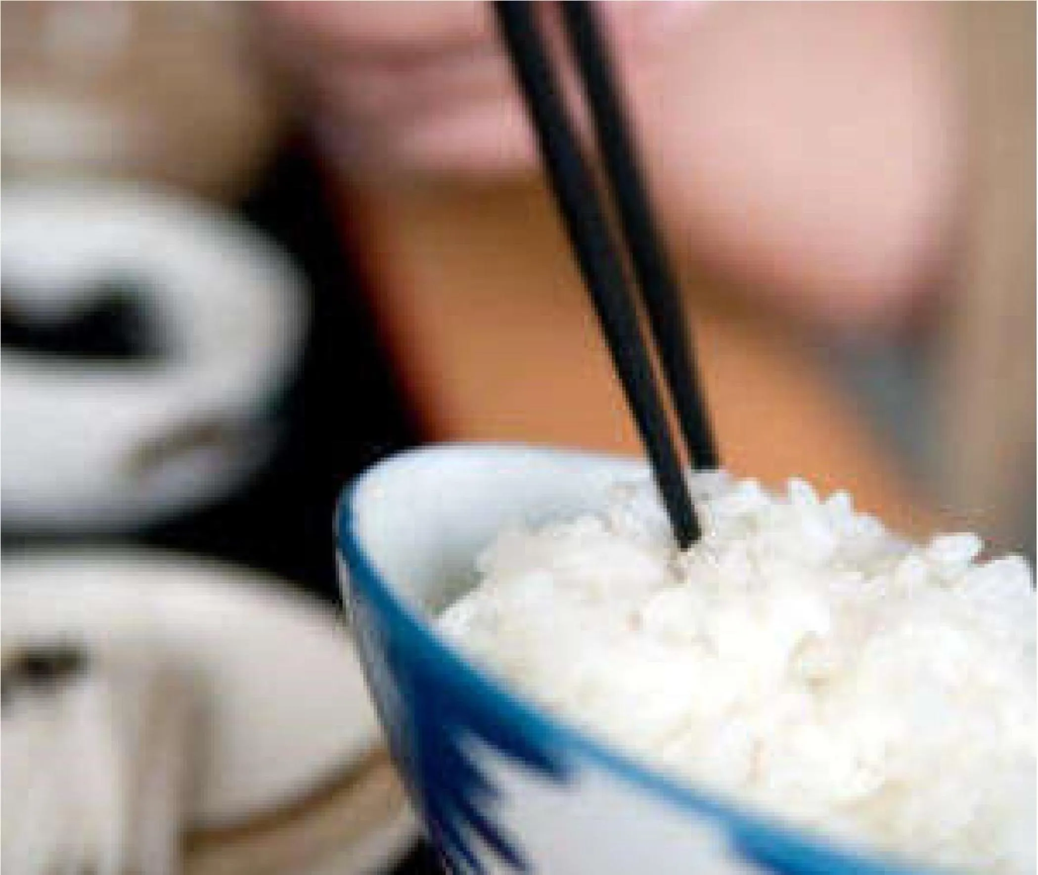 Food close-up in Niigata Park Hotel