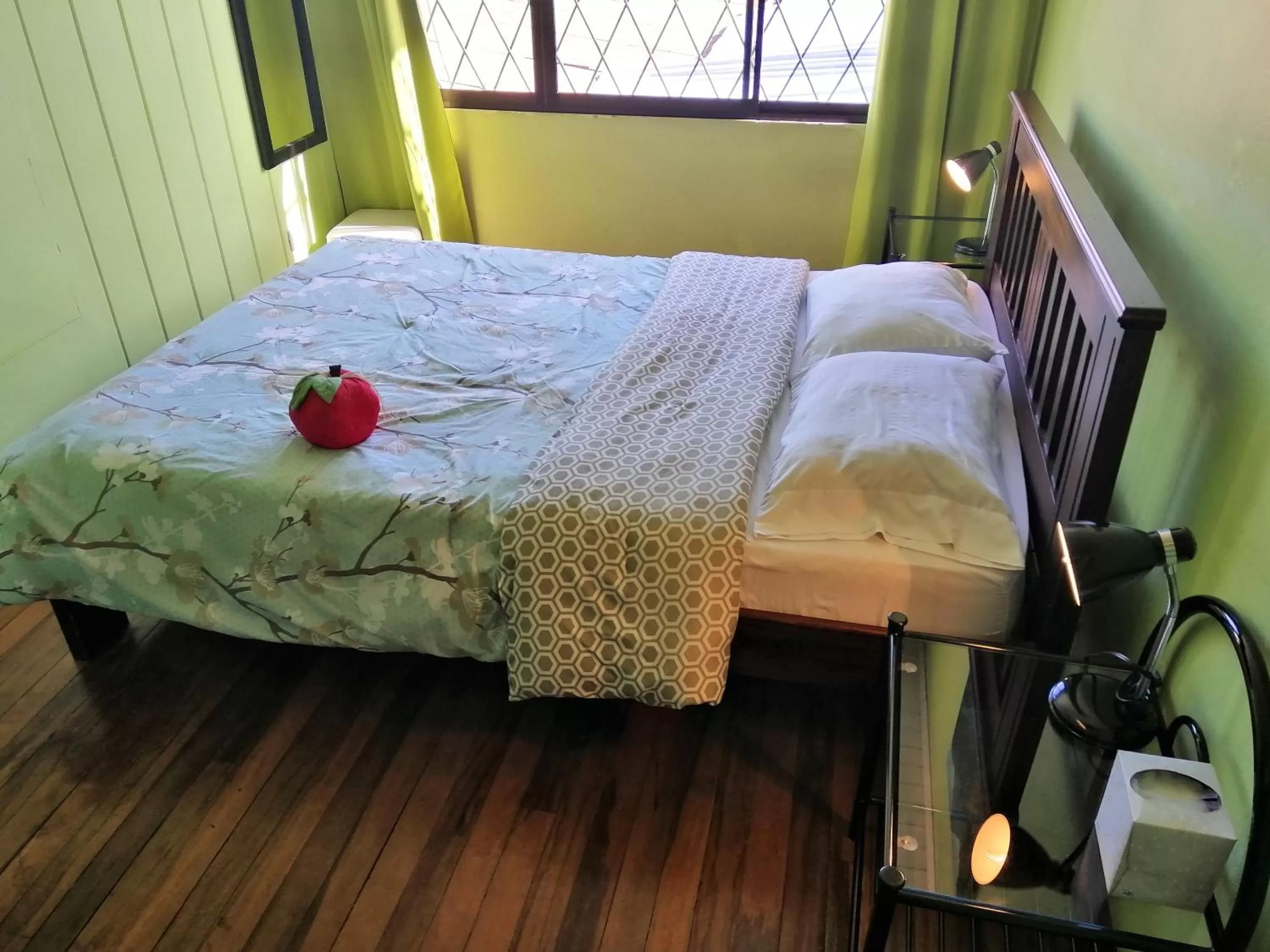 Photo of the whole room in Casa Leon Guesthouse