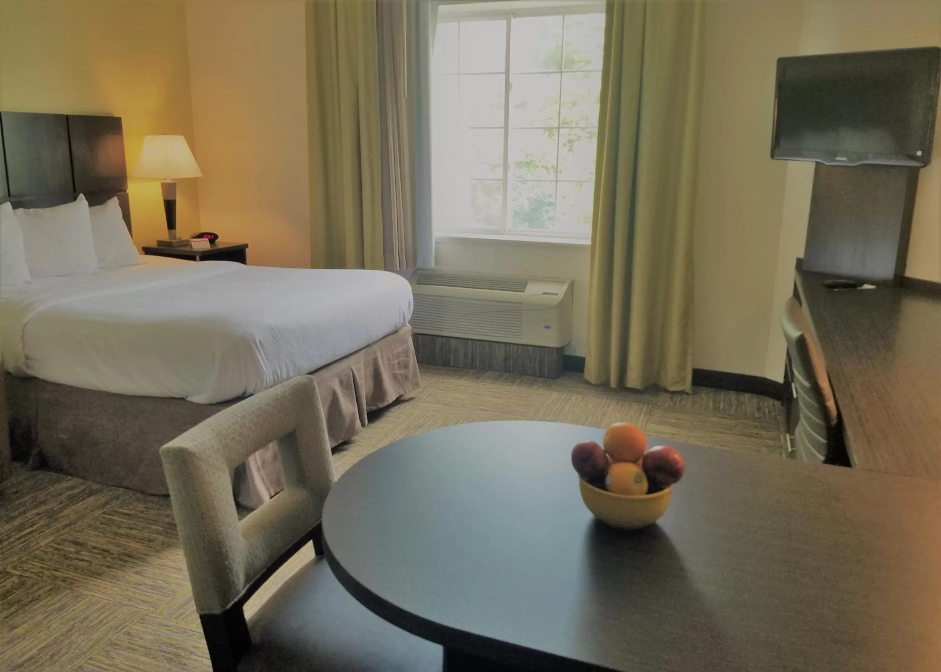 Standard Suite in Candlewood Suites - East Syracuse - Carrier Circle, an IHG Hotel