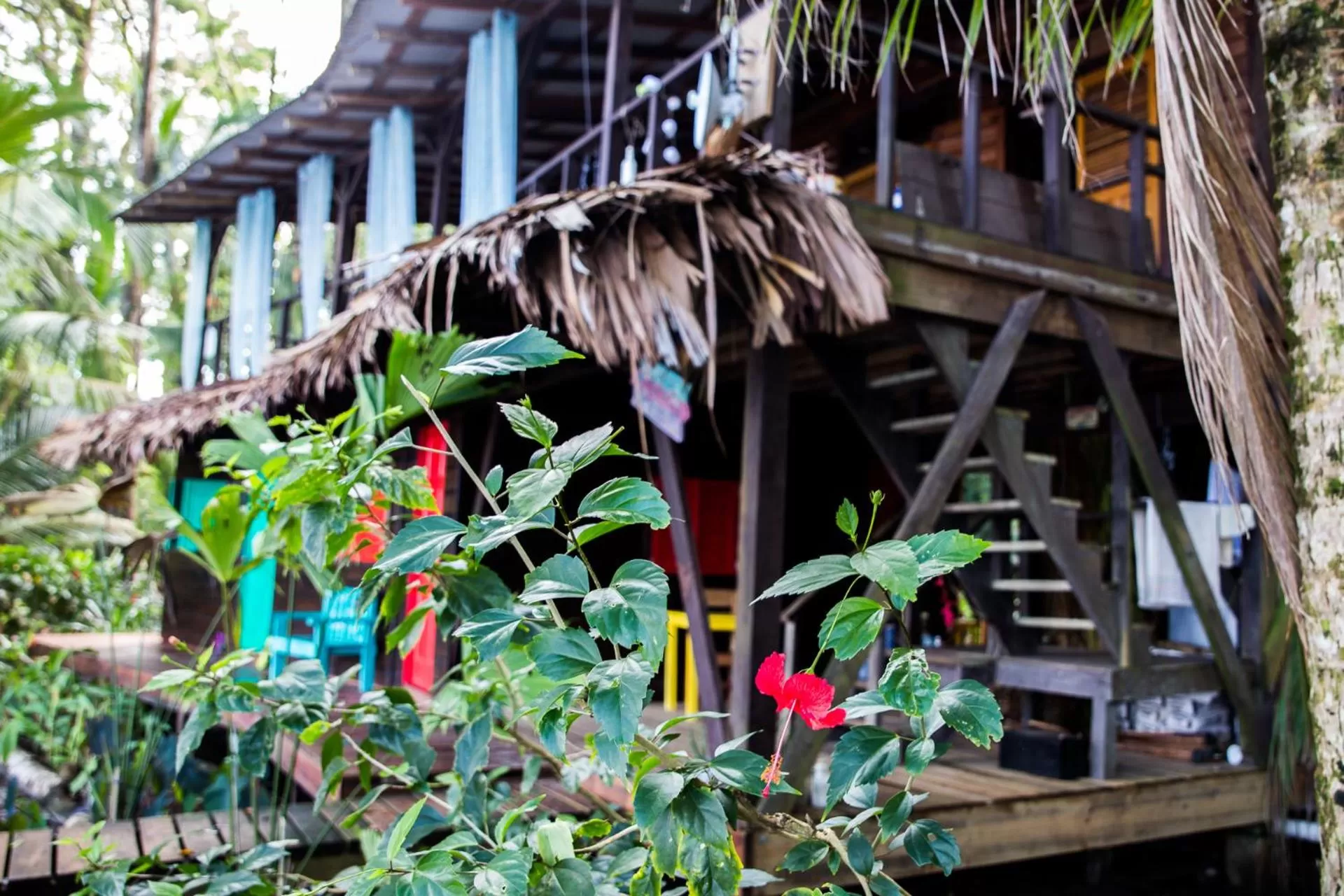 Other in Carmen's place