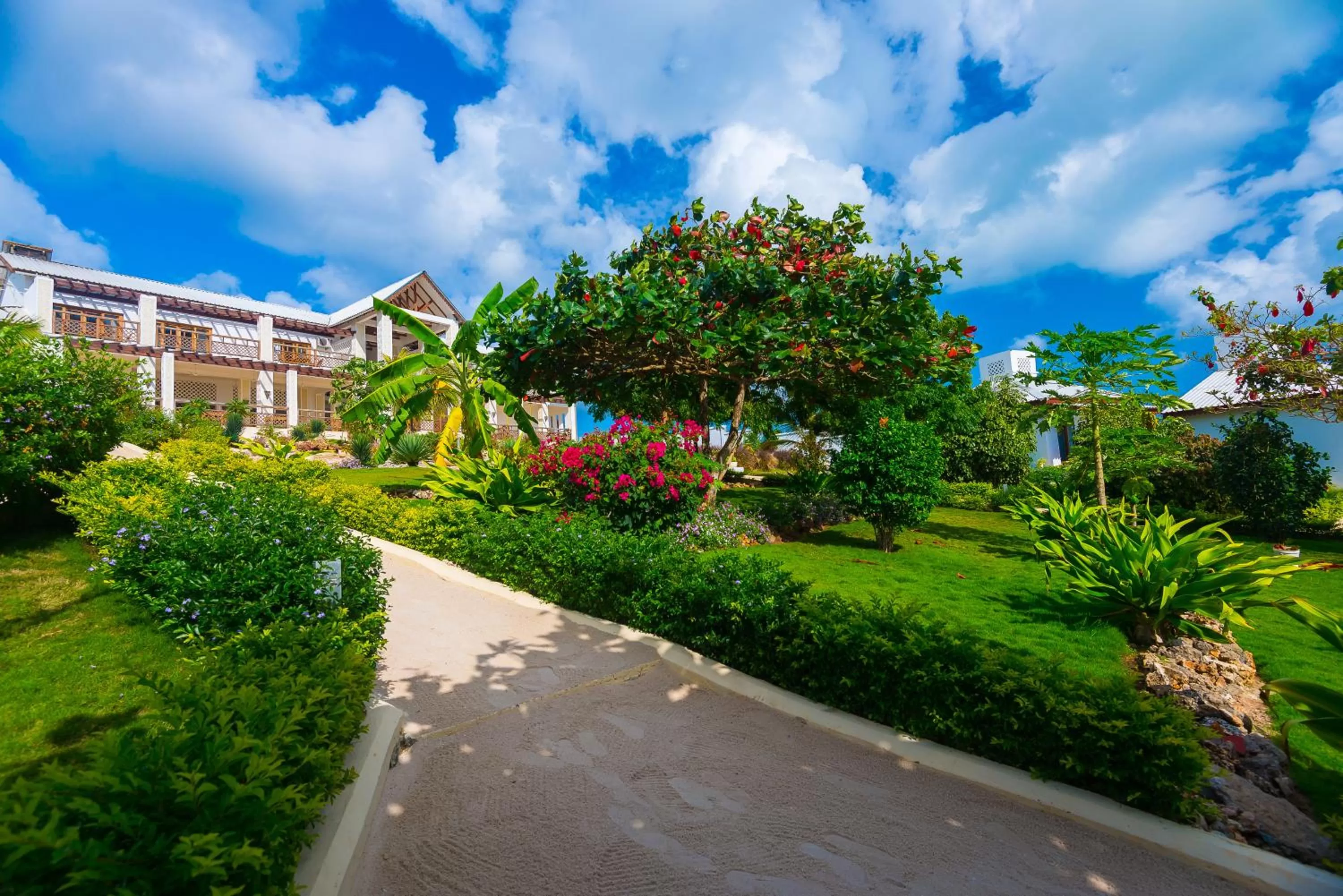 Day, Garden in Warere Beach