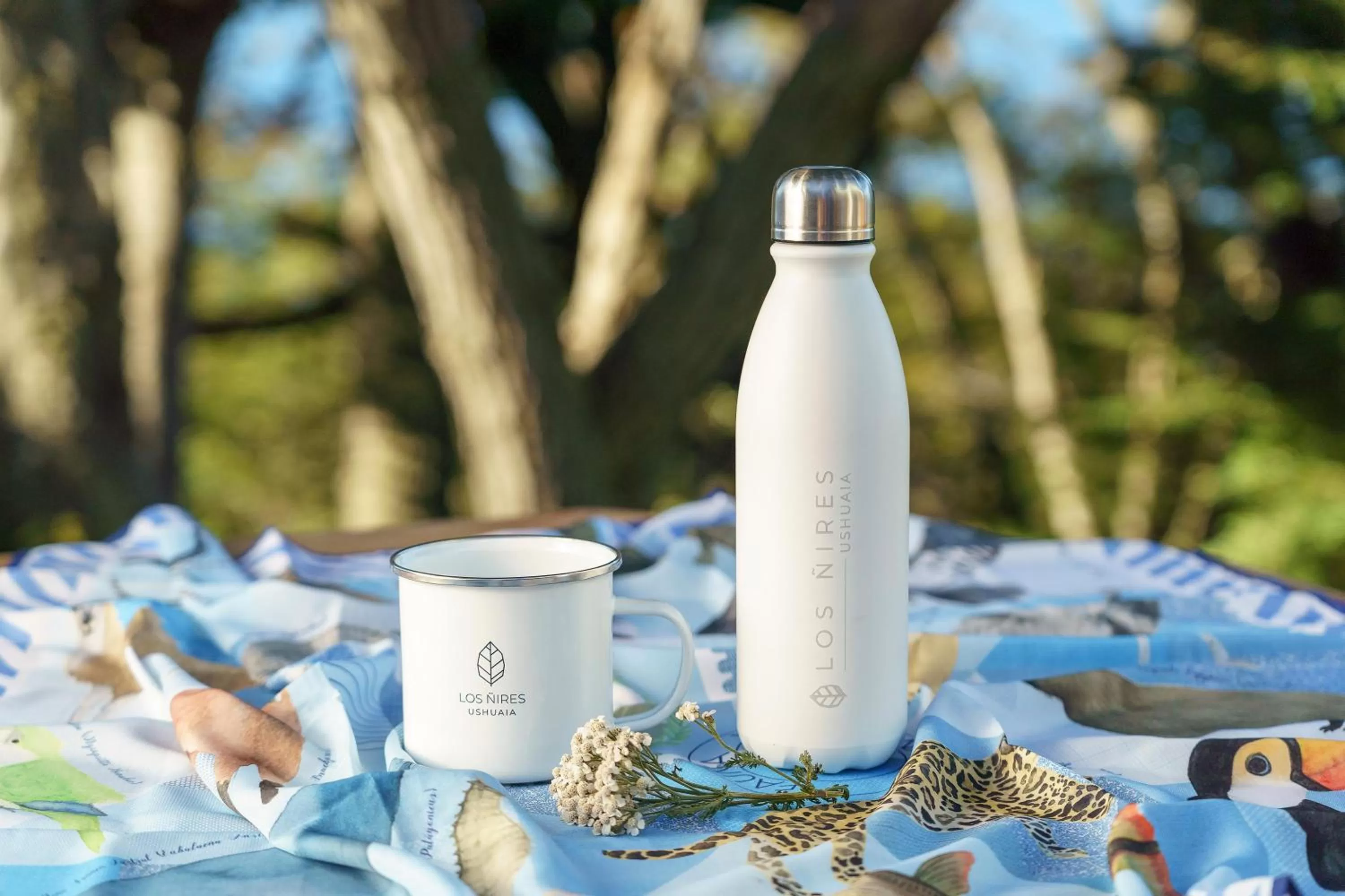 Natural landscape in Los Ñires Ushuaia