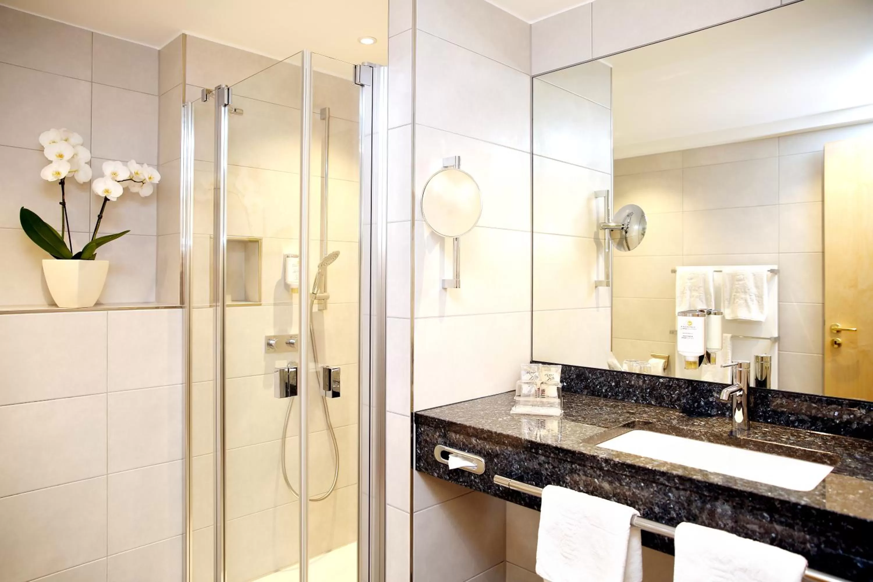 Decorative detail in Ringhotel Weißer Hirsch