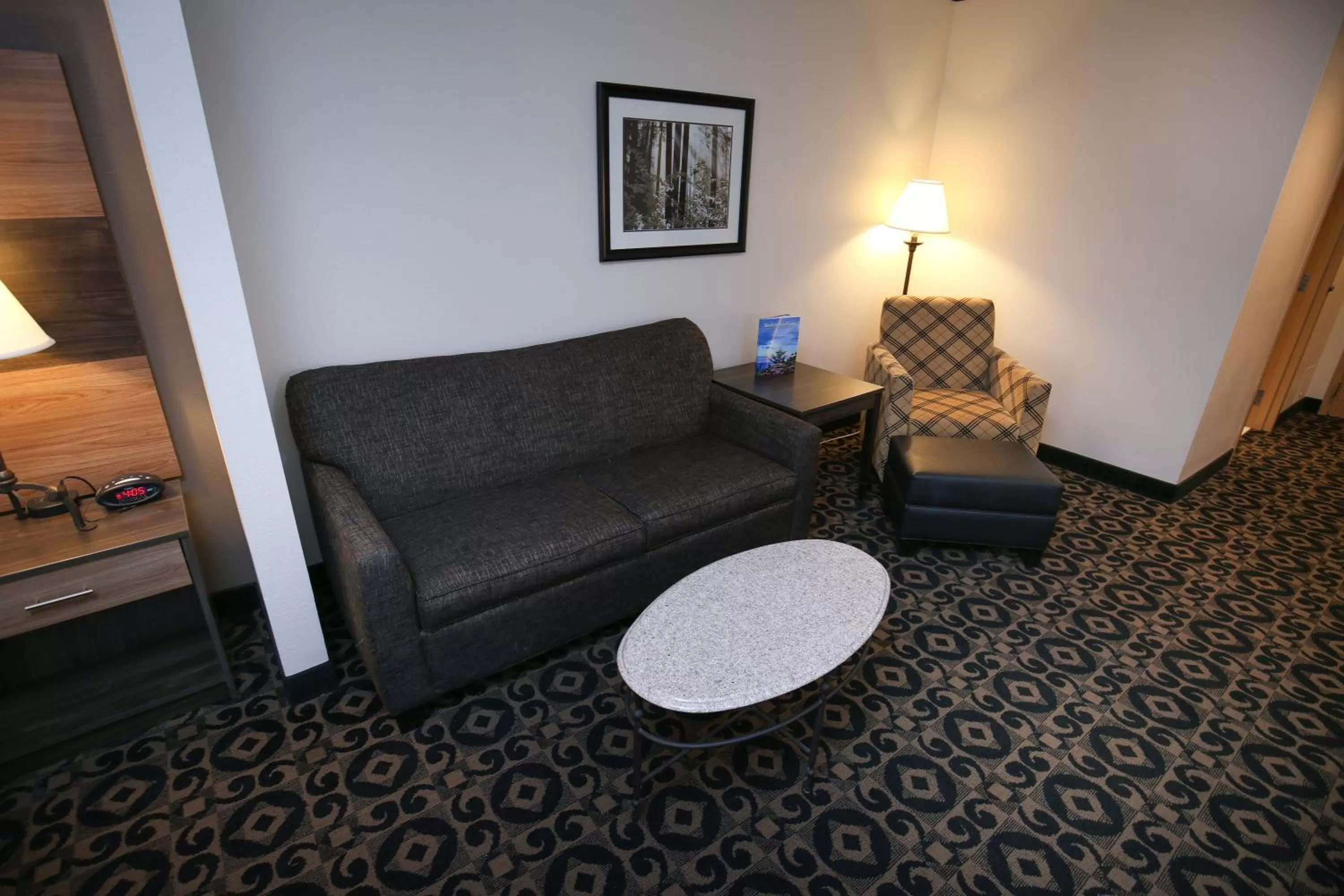 Living room in Quality Inn & Suites Boone - University Area