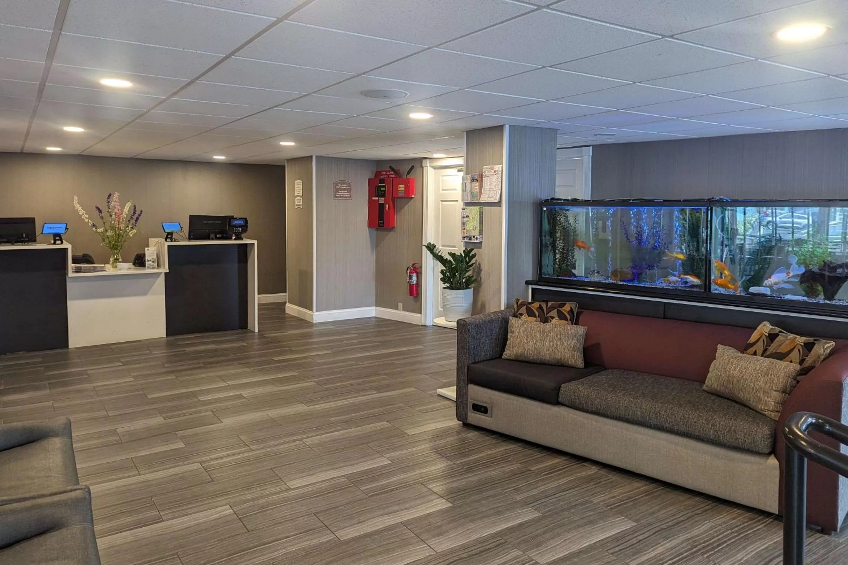 Lobby or reception in Quality Inn & Suites Northampton - Amherst