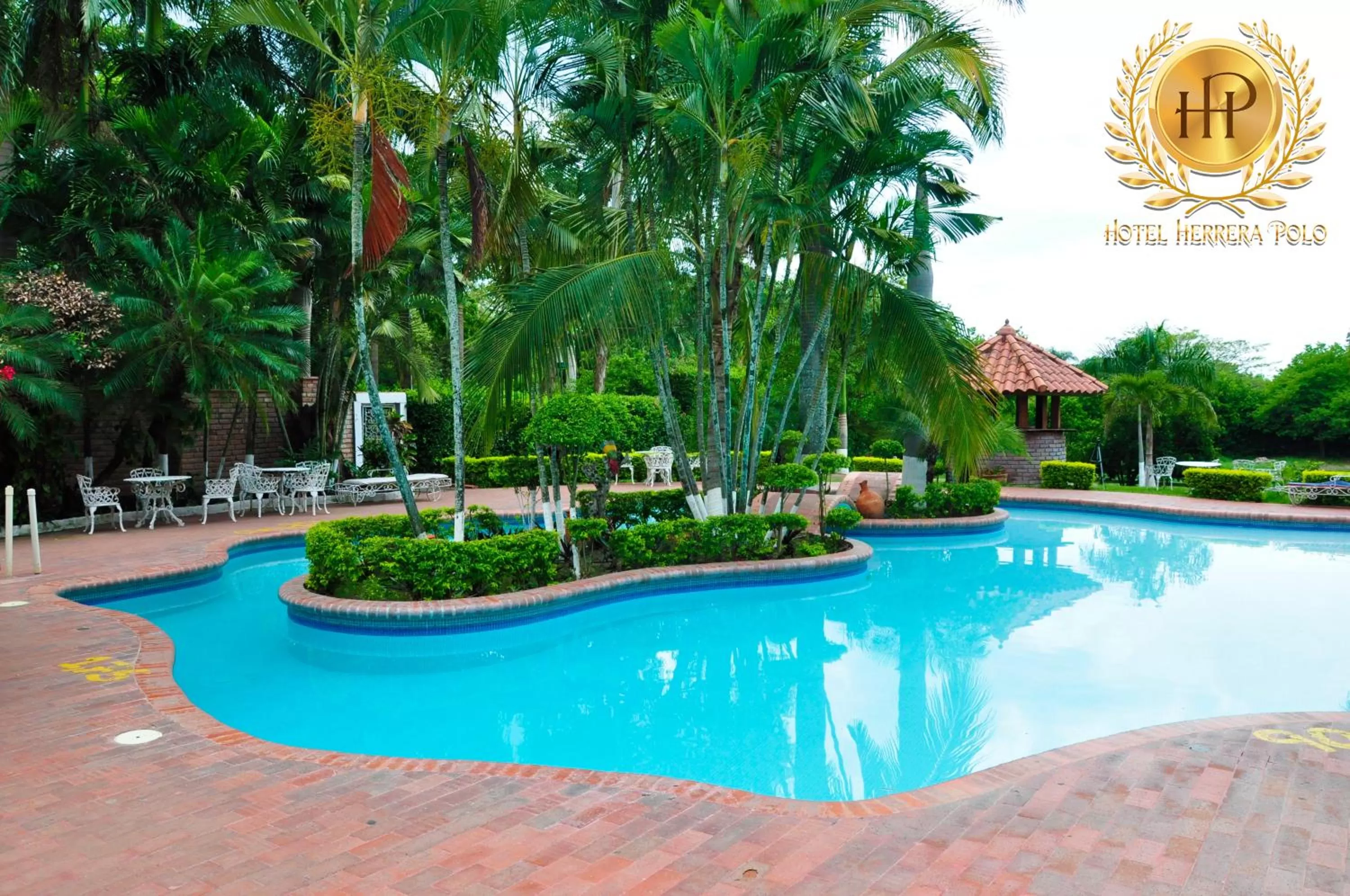 Activities, Swimming Pool in Hotel Herrera Polo