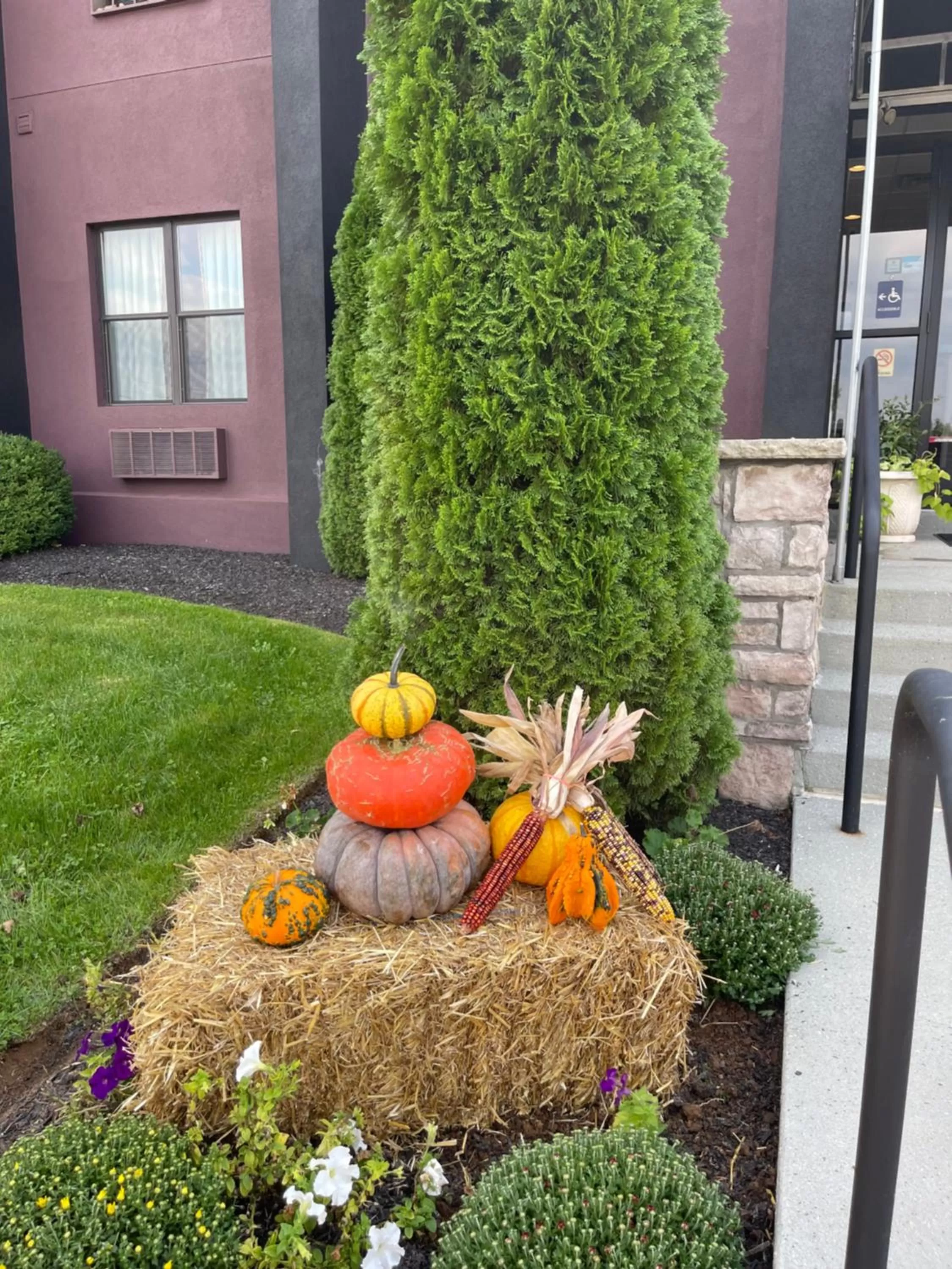 Spring in Brinton Suites