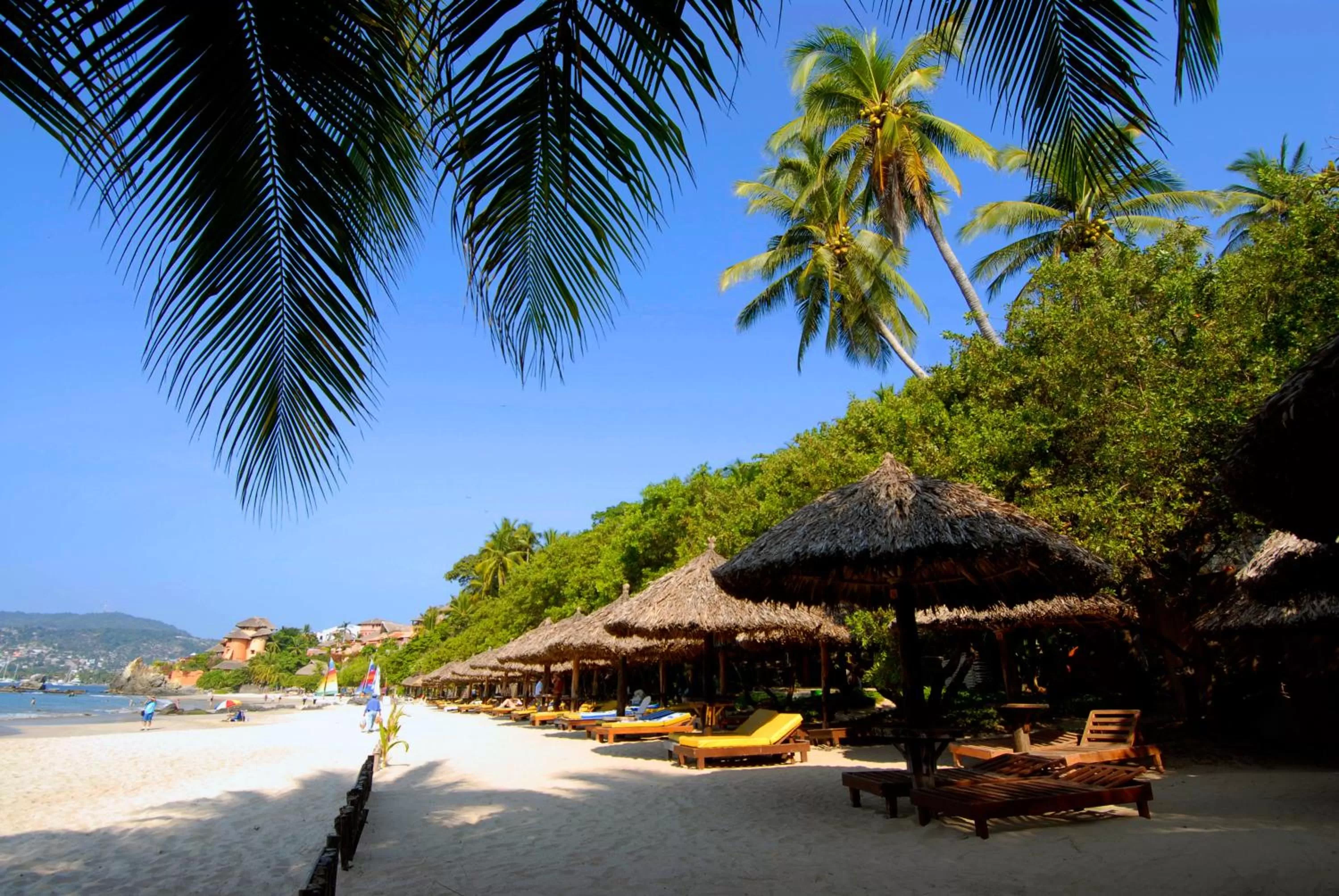 Beach in Hotel Catalina Beach Resort