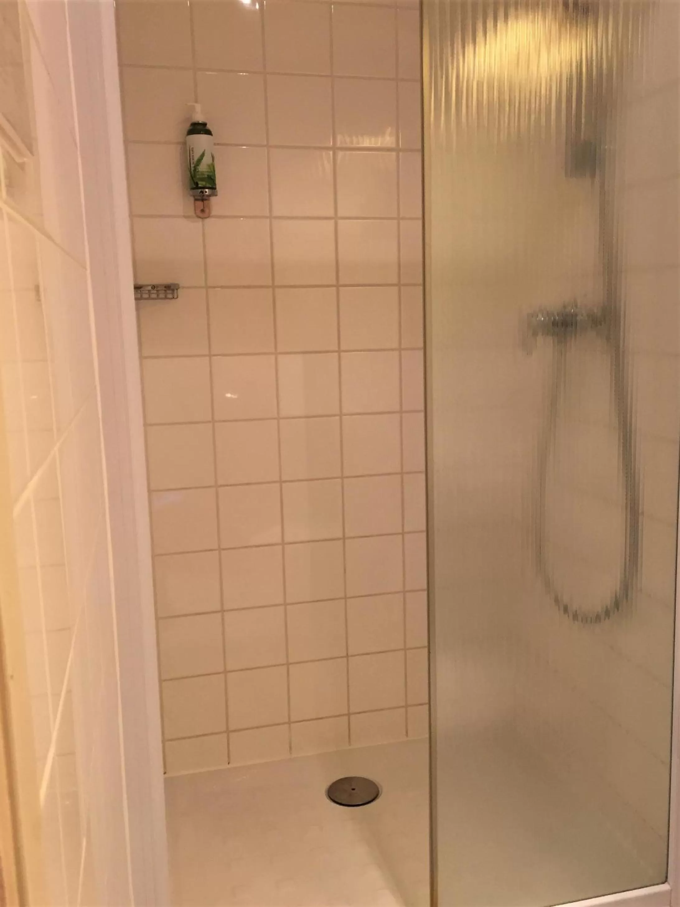 Shower in Hotel De La Paix