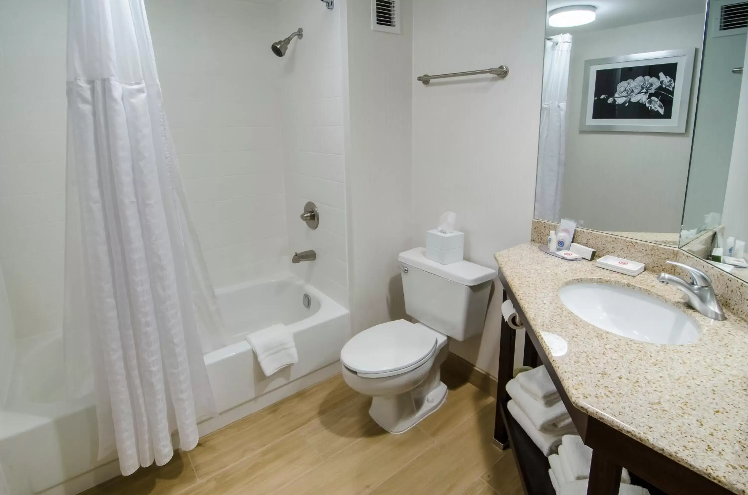 Superior Queen Room with Two Queen Beds - Non Smoking in Comfort Inn Raleigh Midtown Superior Queen Room with Two Queen Beds - Non Smoking in Comfort Inn Raleigh Midtown