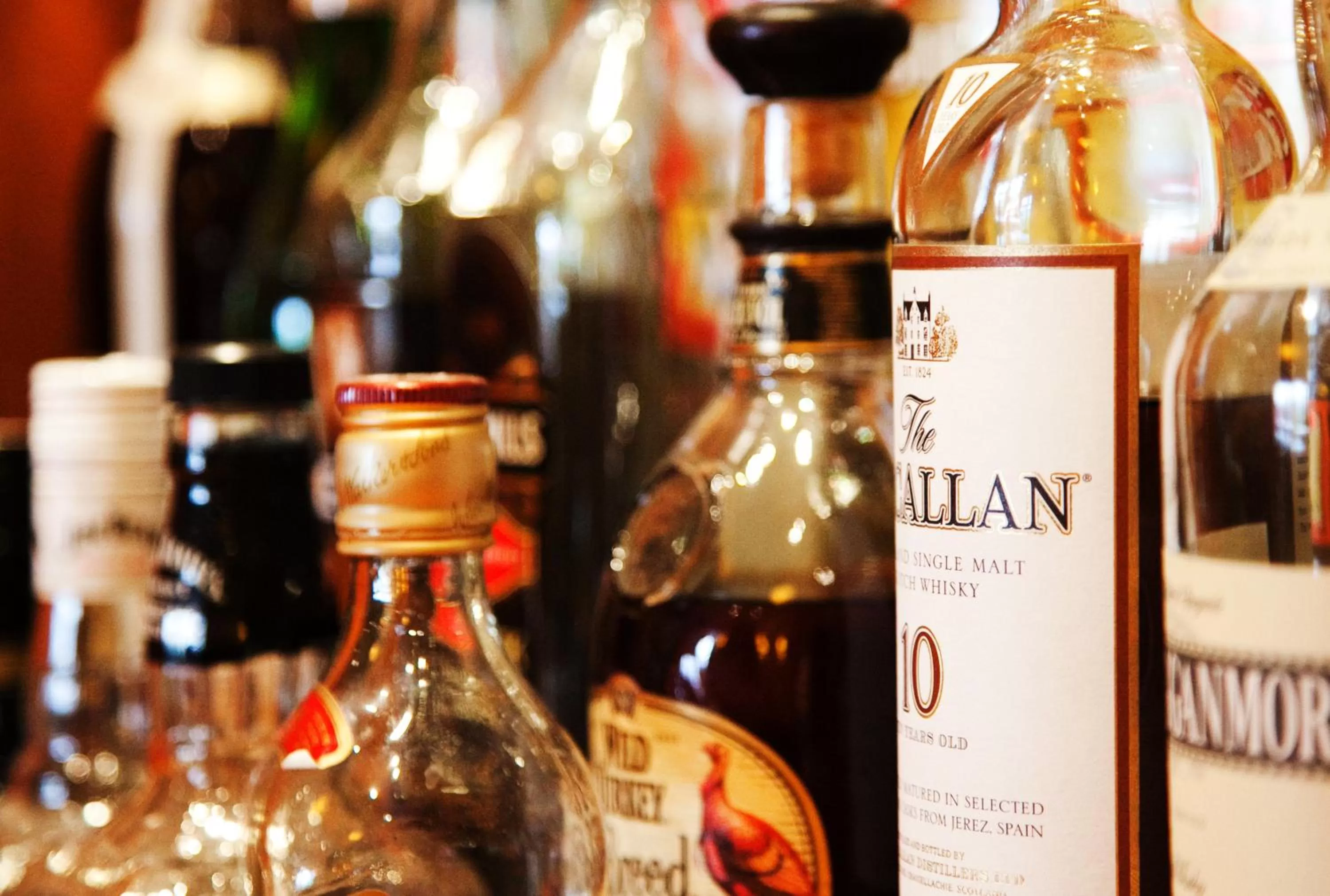 Food and drinks in Hotel Bacchus